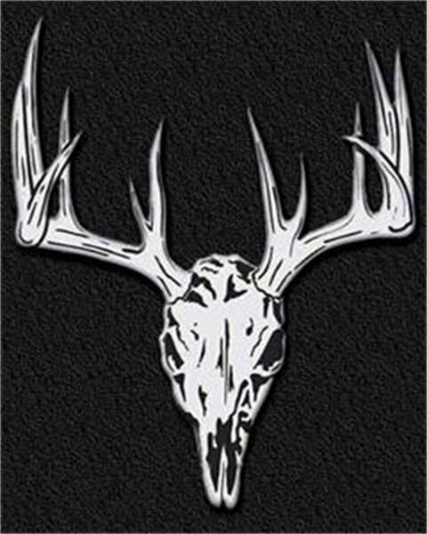 deer skull wallpaper,horn,elk,antler,deer,skull (#680028) - WallpaperUse