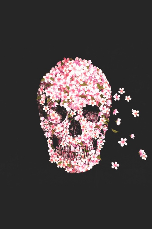 cráneo y papel tapiz de flores,cráneo,rosado,hueso,cabeza,ilustración