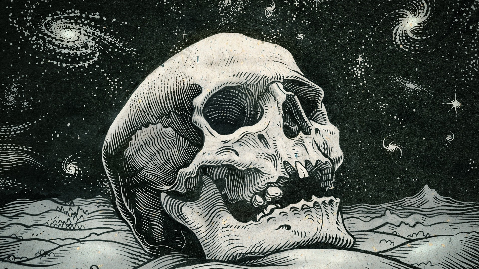 skull art wallpaper,illustration,skull,art,bone,human