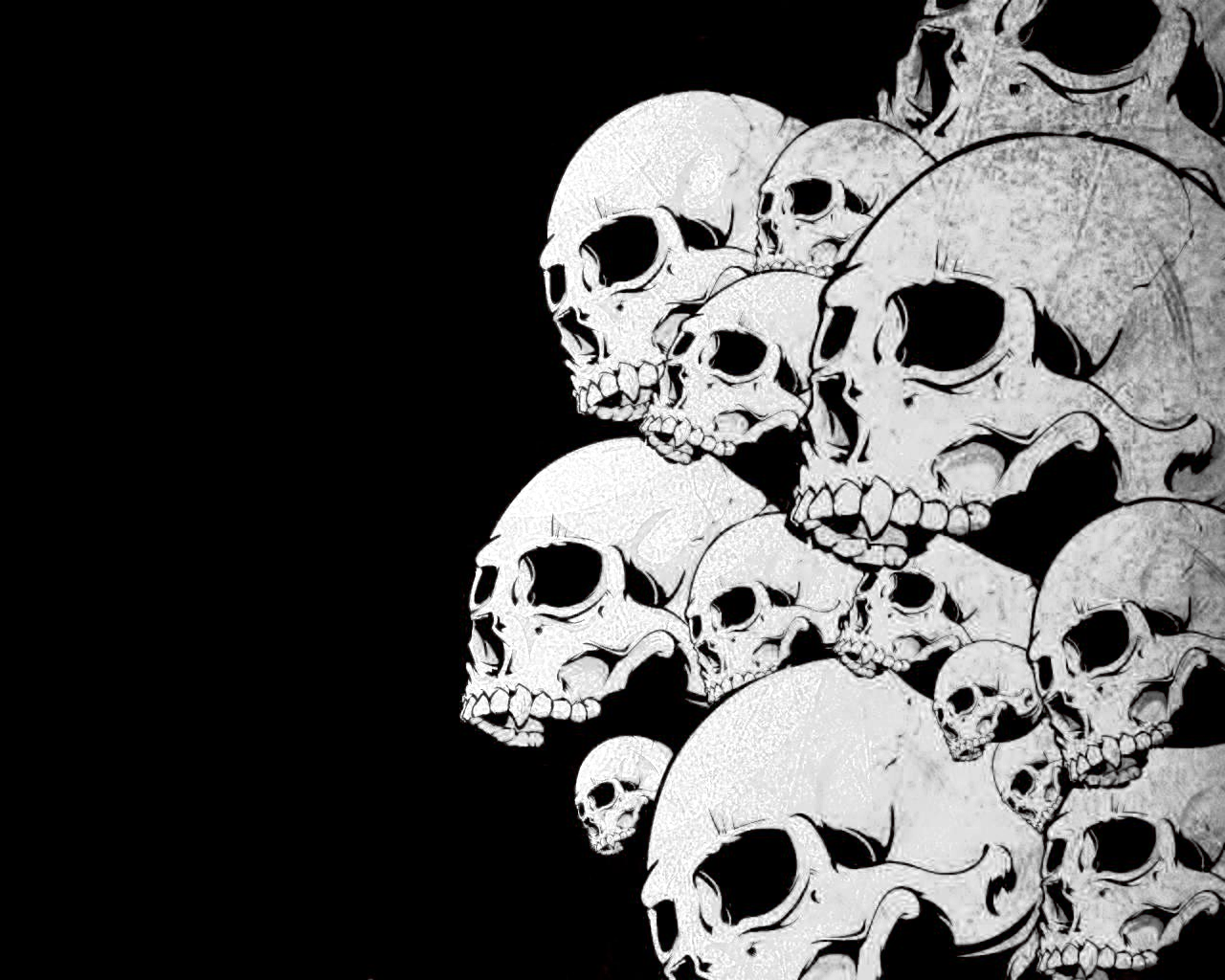 skull art wallpaper,bone,skull,design,photography,pattern