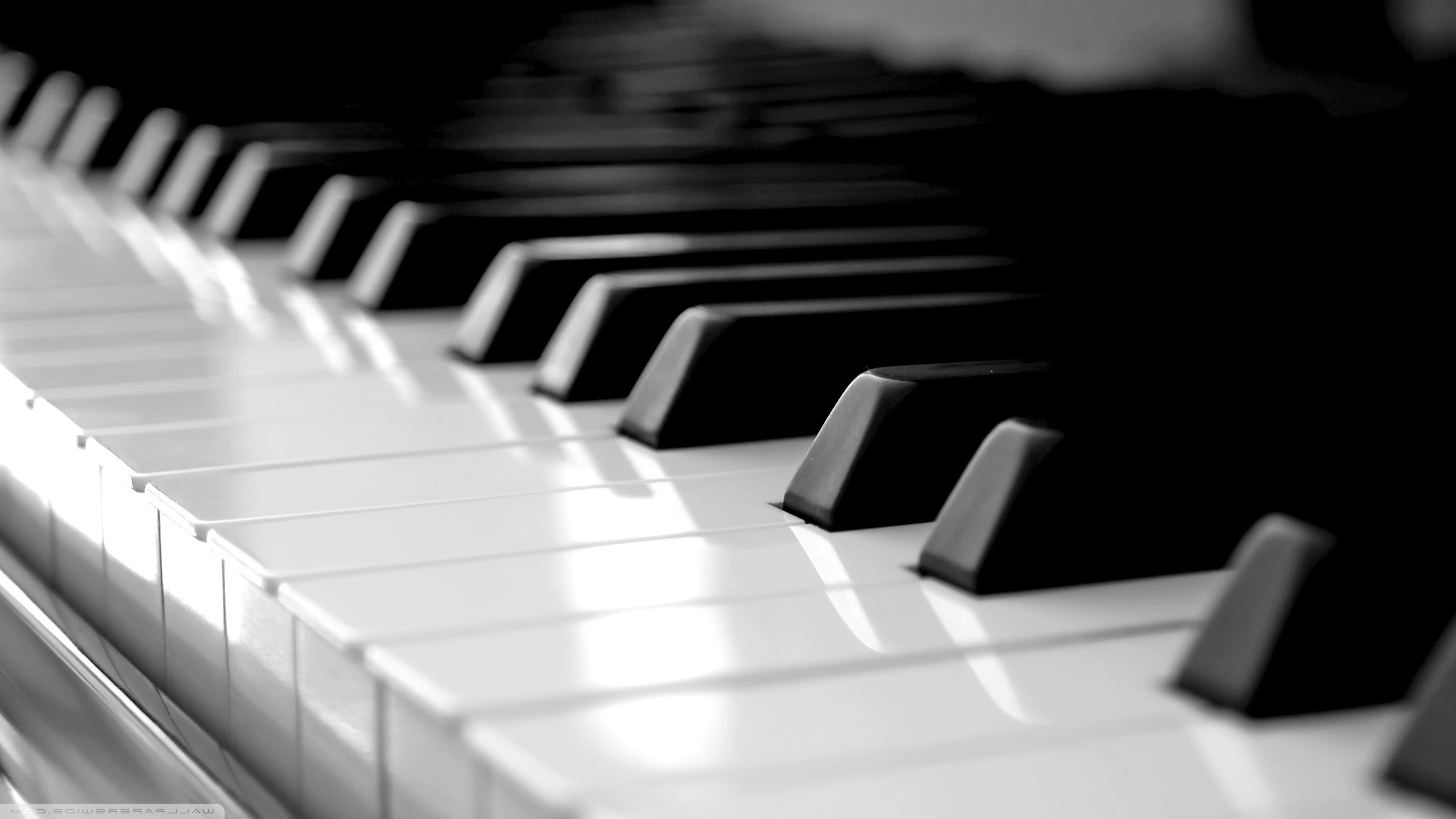 piano live wallpaper,pianoforte,strumento musicale,tastiera,nero,tastiera musicale