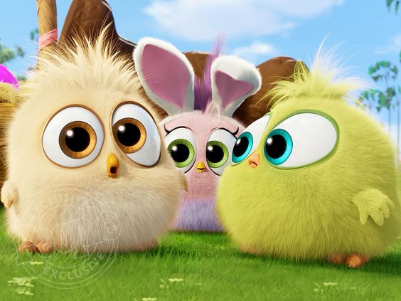 angry birds live wallpaper,animated cartoon,cartoon,animation,snout,grass