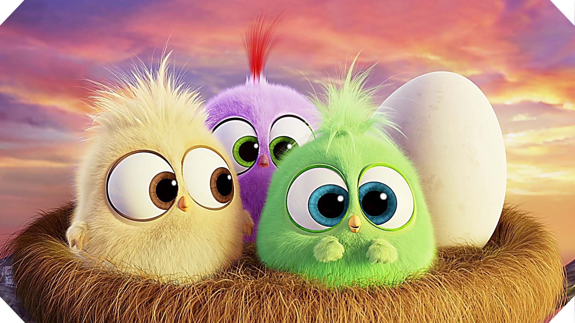 angry birds live wallpaper,cartoon,animated cartoon,animation,grass,organism