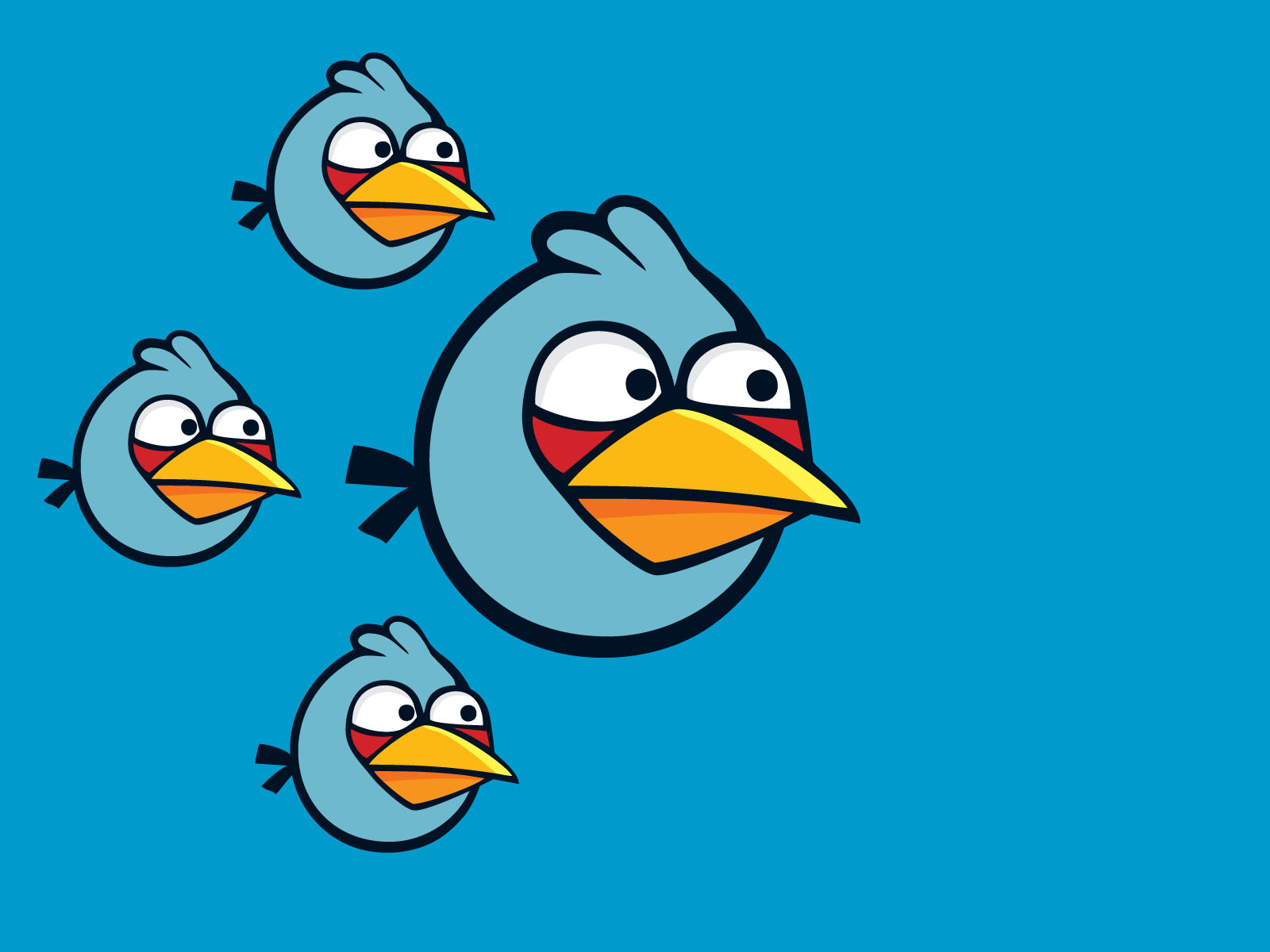 uccelli arrabbiati live wallpaper,uccello,illustrazione,angry birds