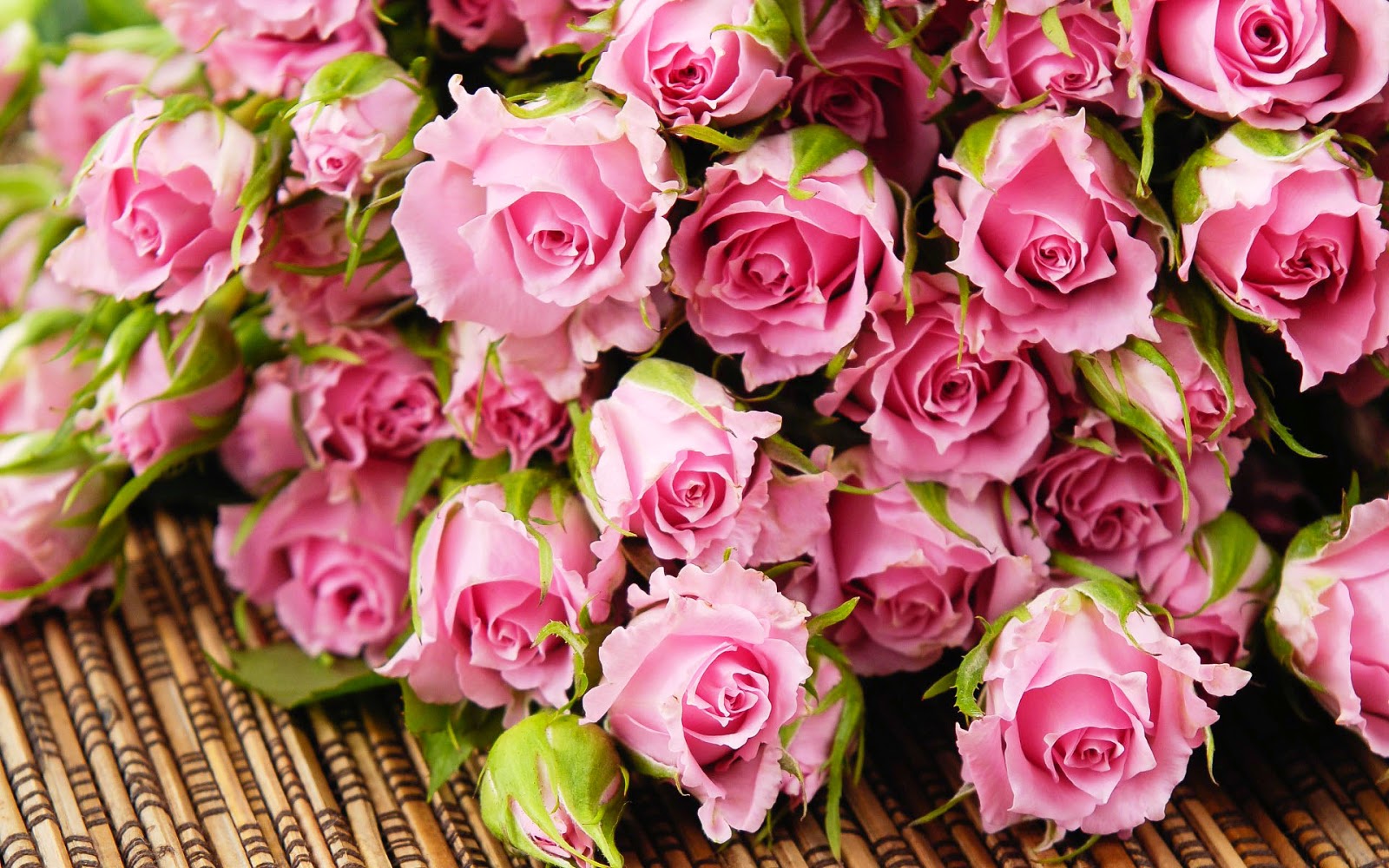 壁紙hdローザ,花,庭のバラ,開花植物,ローズ,ピンク