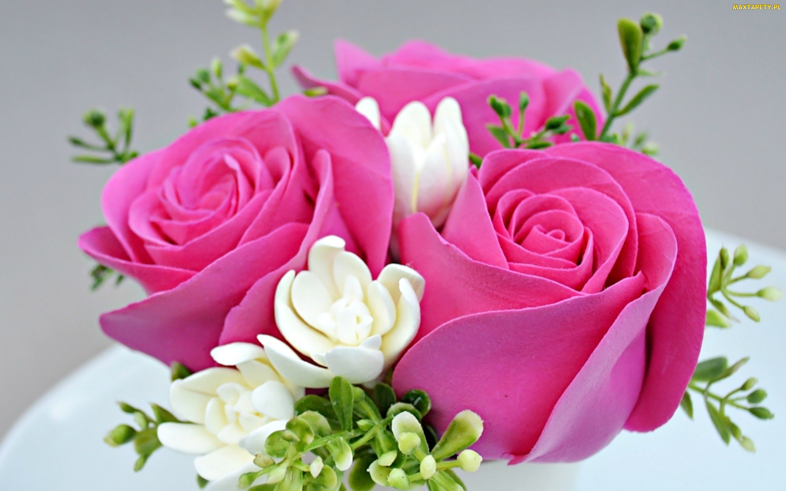 壁紙roz,花,開花植物,ピンク,ローズ,庭のバラ