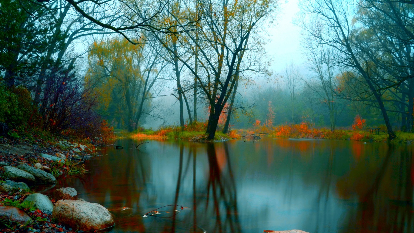 g l fondo de pantalla,naturaleza,paisaje natural,reflexión,agua,árbol
