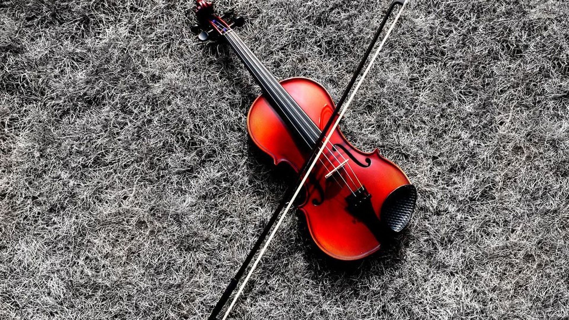sfondi di violino sfondi,violino,strumento musicale,violino,musica,viola