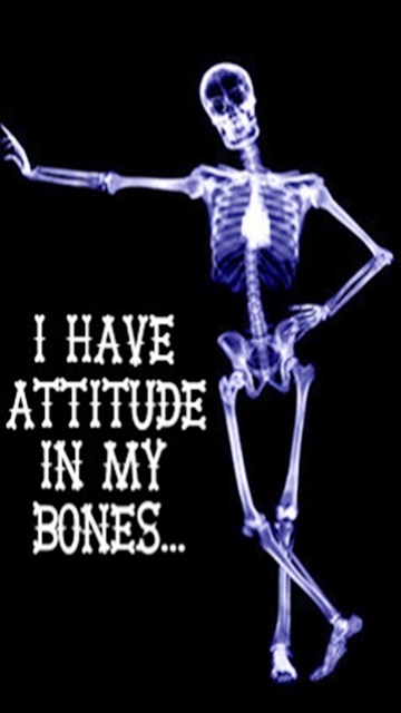 my attitude wallpaper pc,skeleton,joint,shoulder,x ray,human