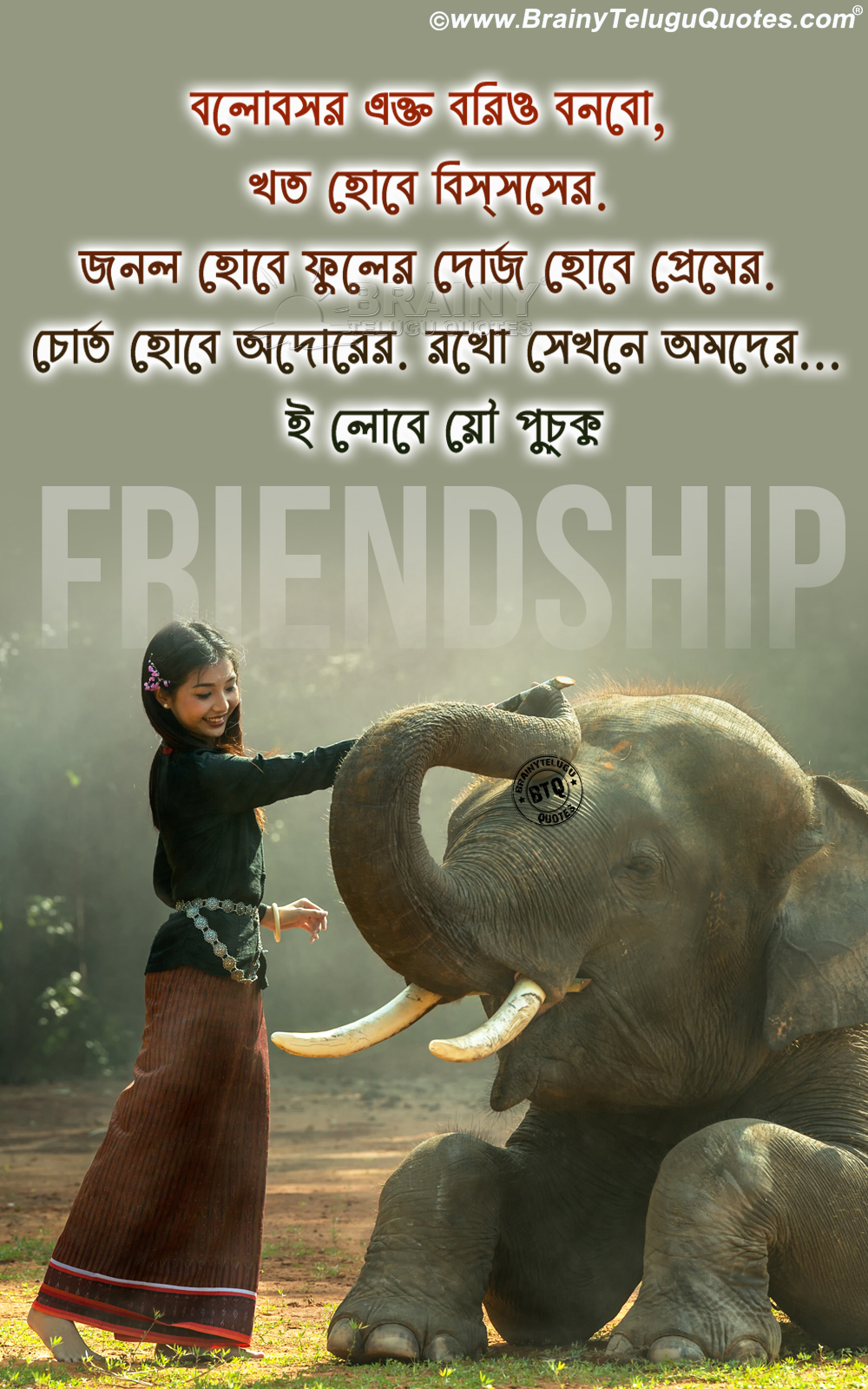 좋은 메시지 바탕 화면,코끼리와 매머드,코끼리,지상파 동물,사진 캡션,인도 코끼리
