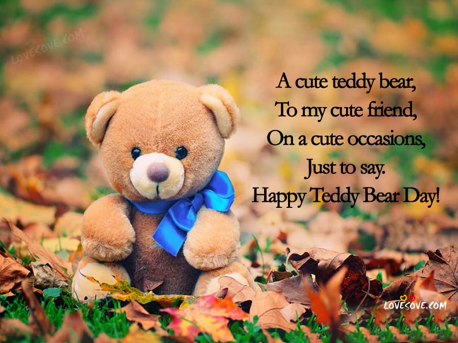 nice msg wallpapers,teddy bear,toy,stuffed toy,leaf,adaptation