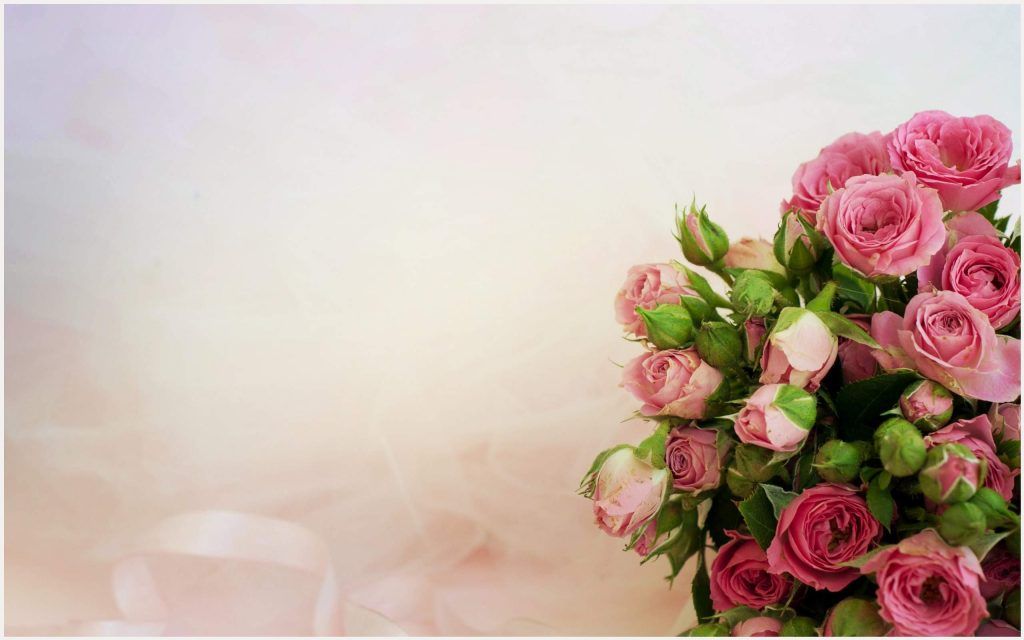 バラの束の壁紙,ピンク,庭のバラ,花,ローズ,切り花