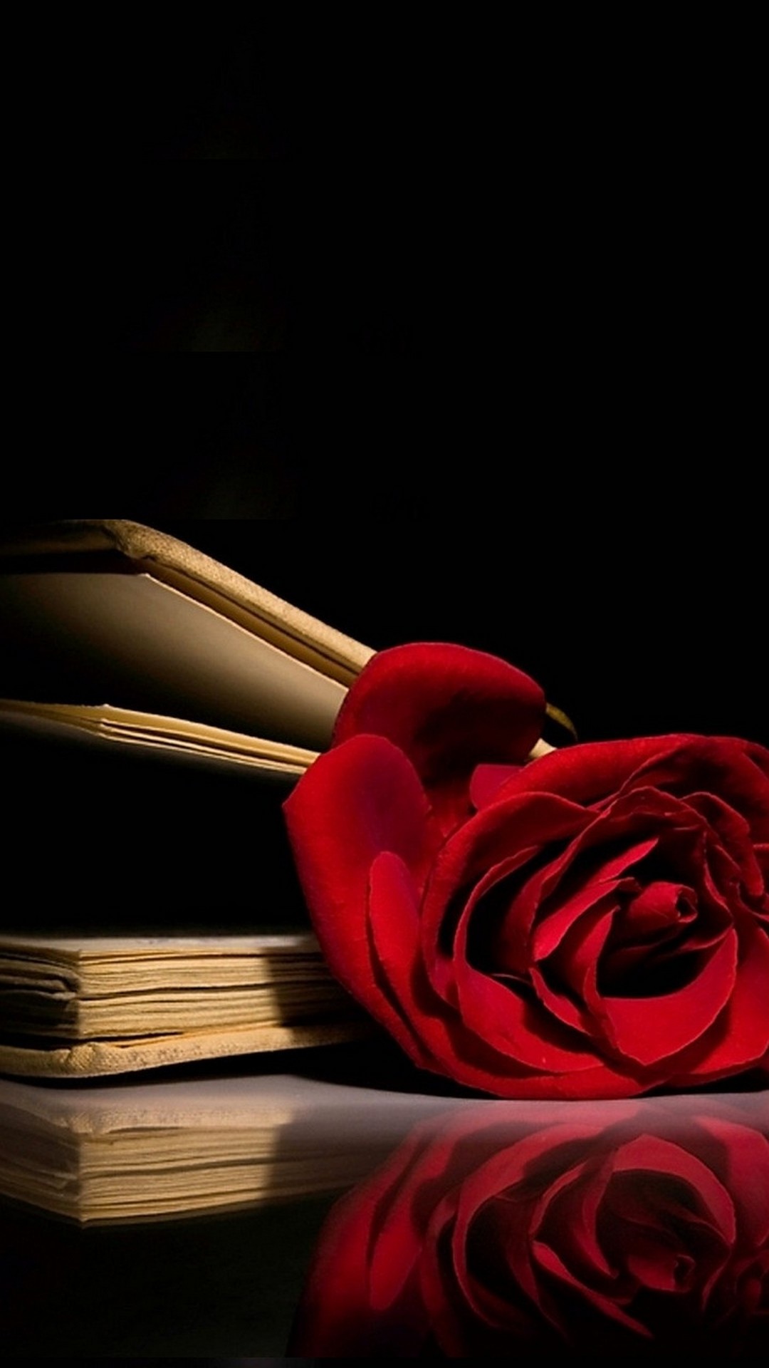 rose wallpaper rose wallpaper,red,still life photography,rose,petal,rose family