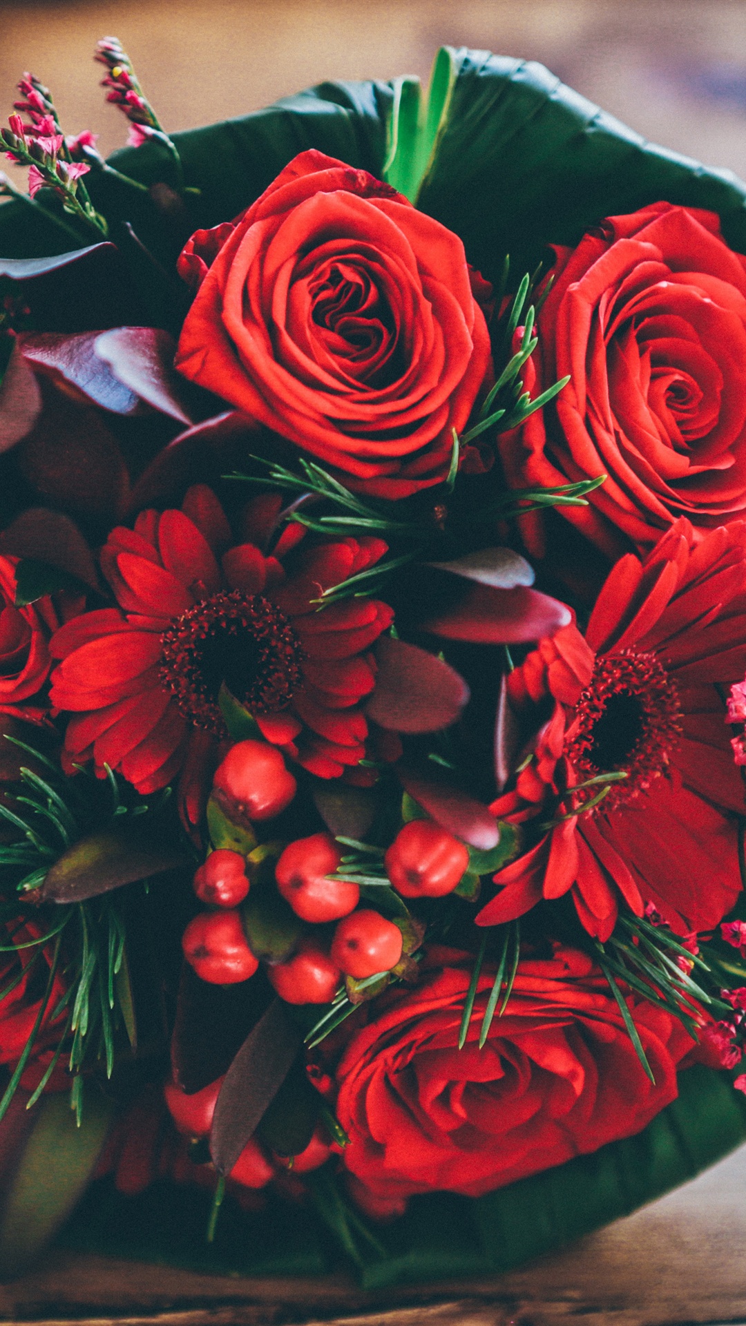 장미 벽지 장미 벽지,꽃,꽃다발,빨간,장미,정원 장미