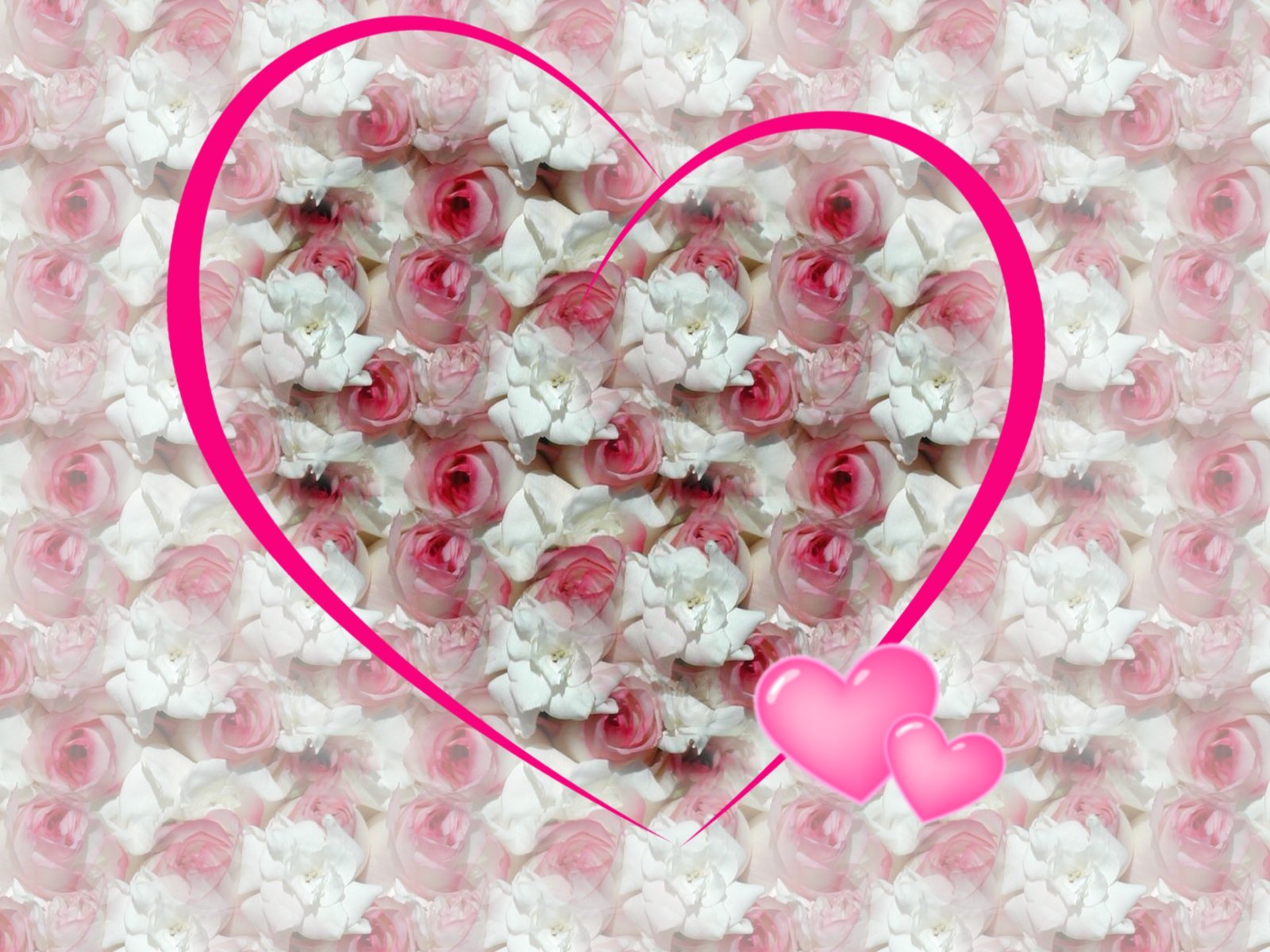 dulce rosa fondo de pantalla,rosado,corazón,día de san valentín,pétalo,flor