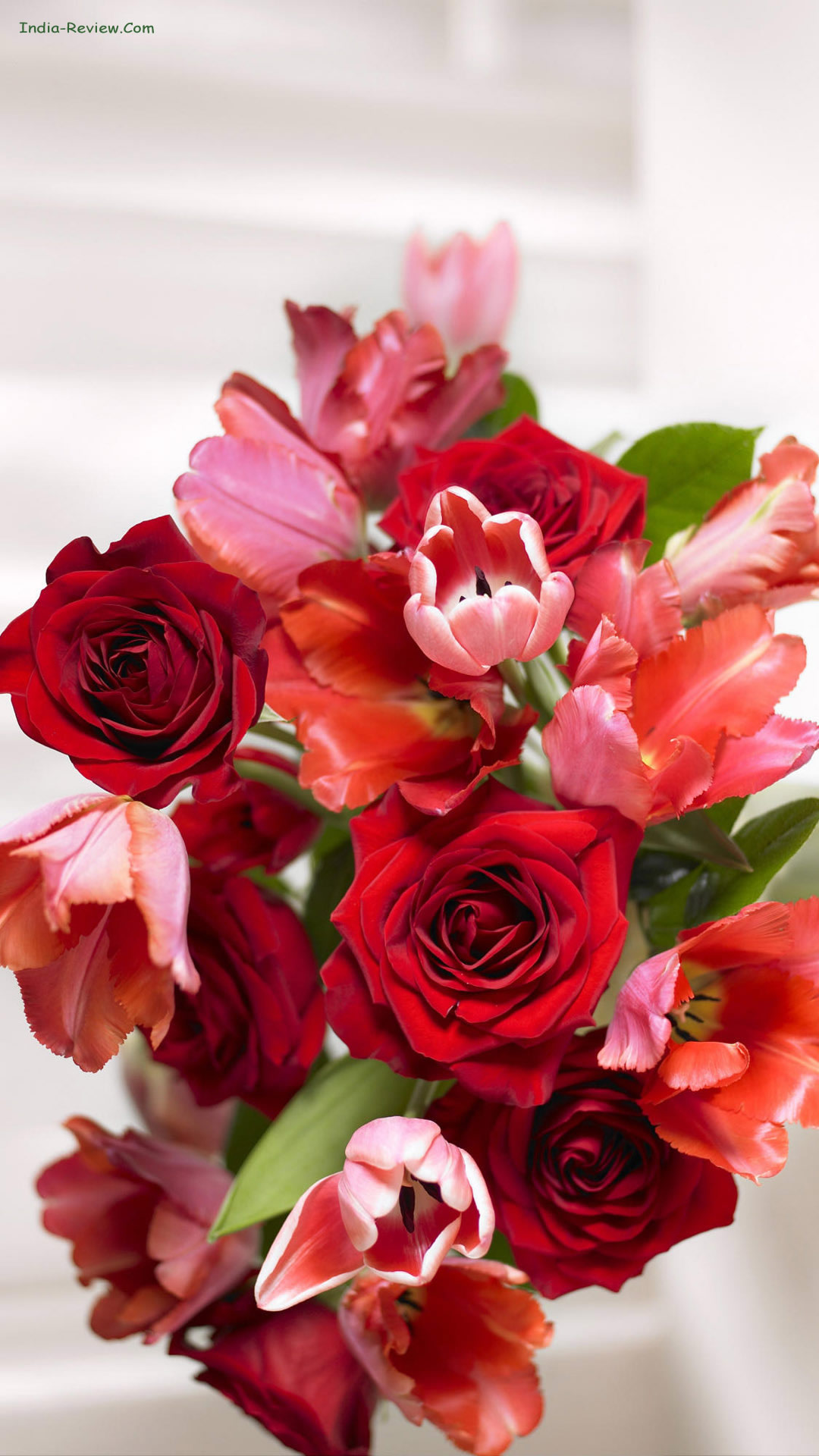 rose wallpaper for mobile,flower,flowering plant,bouquet,pink,cut