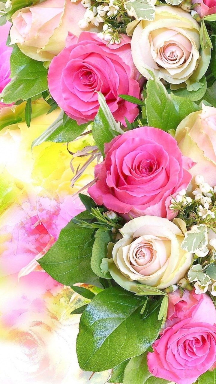 papel tapiz de rosas coloridas,flor,rosas de jardín,rosa,ramo de flores,rosado
