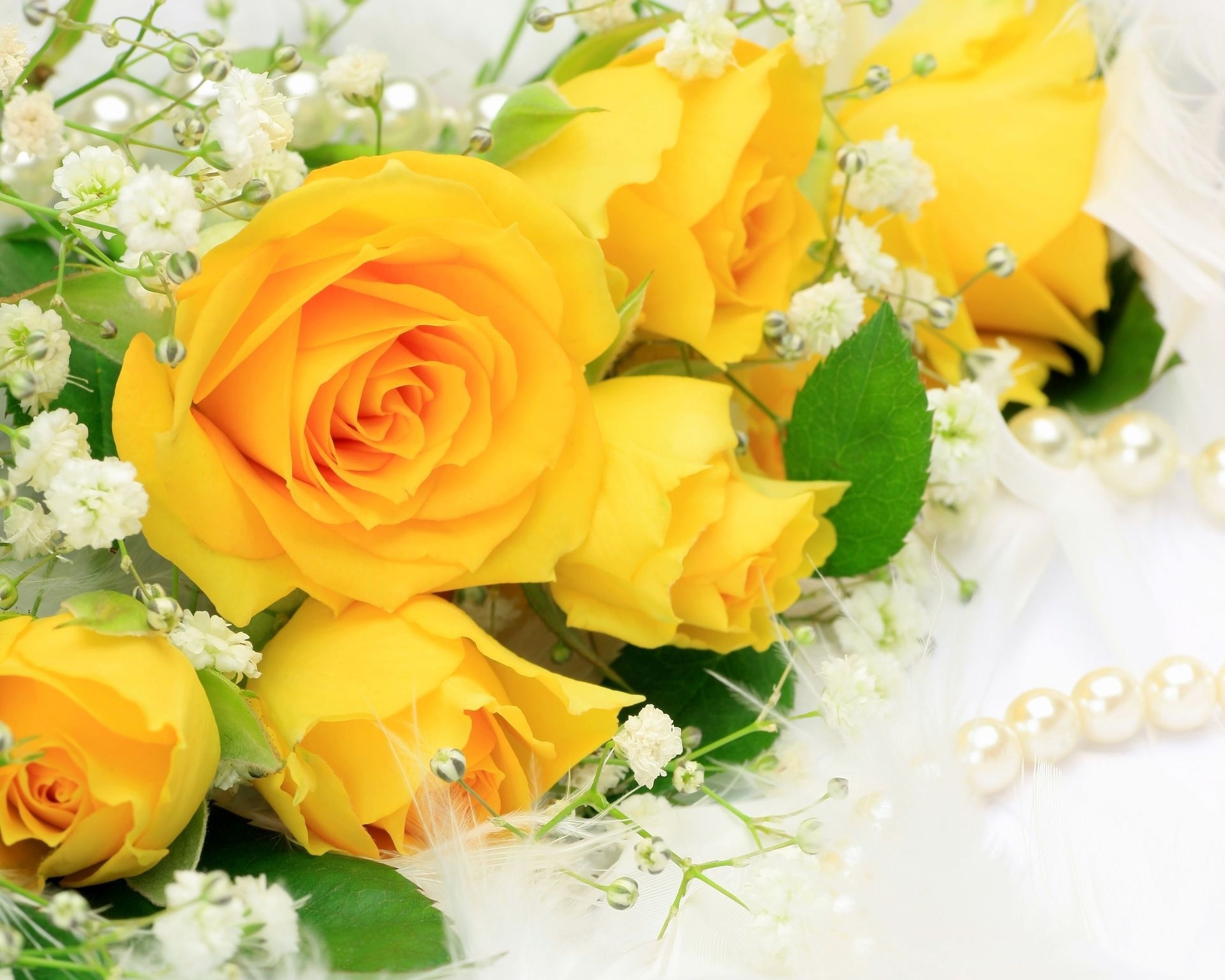 high quality rose wallpaper,flower,bouquet,rose,yellow,flower arranging