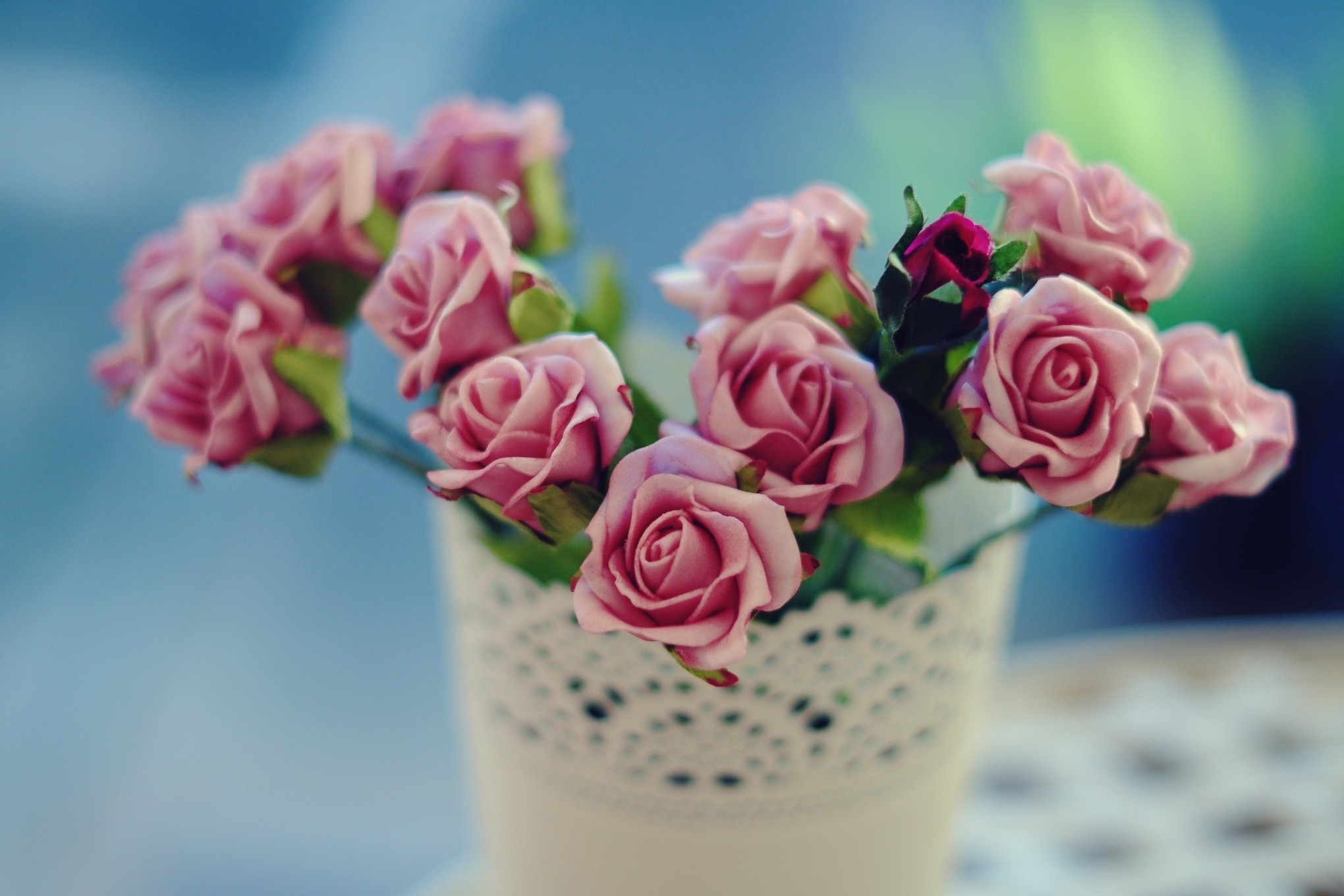 papier peint rose de haute qualité,rose,fleur,pot de fleur,roses de jardin,rose