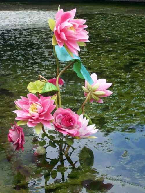 fond d'écran gulab phool,fleur,plante à fleurs,pétale,plante aquatique,plante