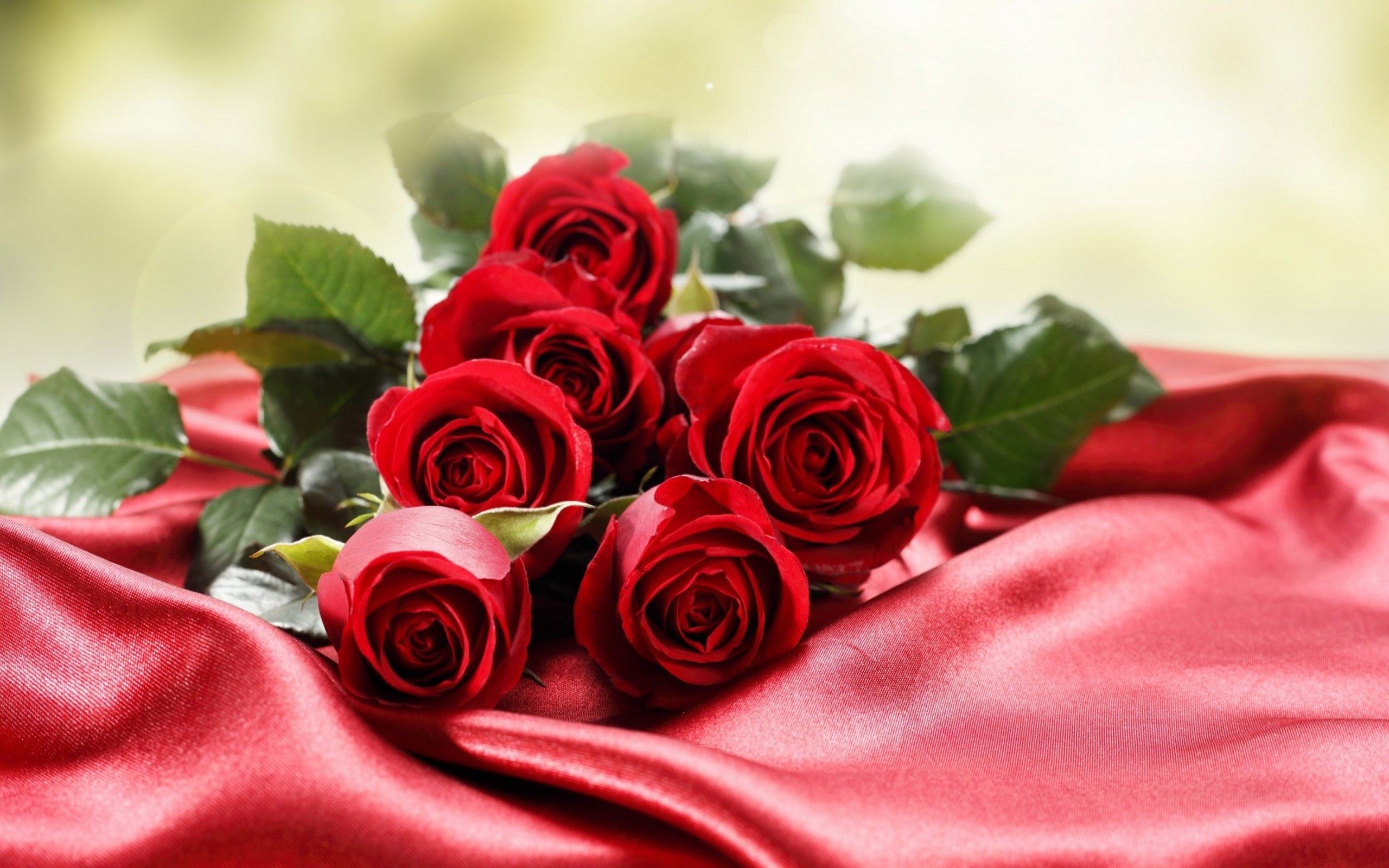 belles images de roses pour fond d'écran,fleur,roses de jardin,rouge,rose,famille rose