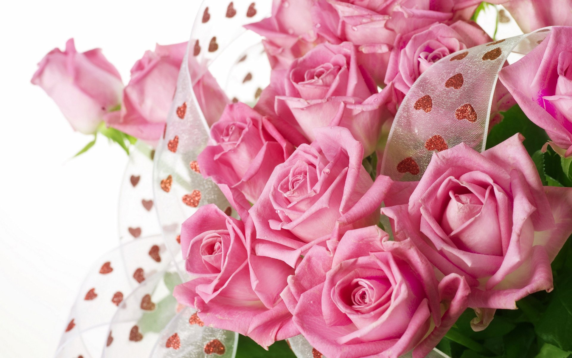Pretty Pink Roses - Rose Beautiful Wallpapers Flowers- WallpaperUse