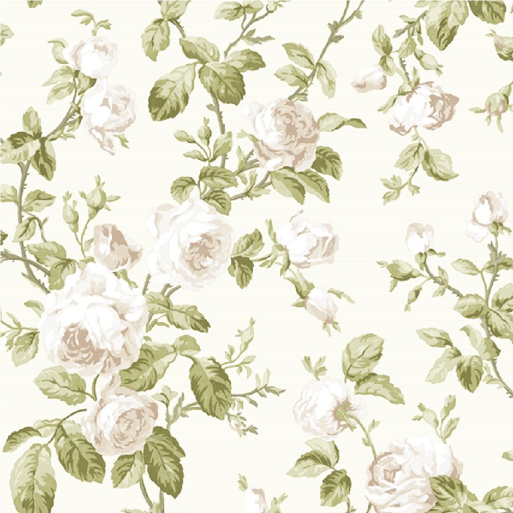 large rose wallpaper,pattern,plant,flower,botany,wallpaper