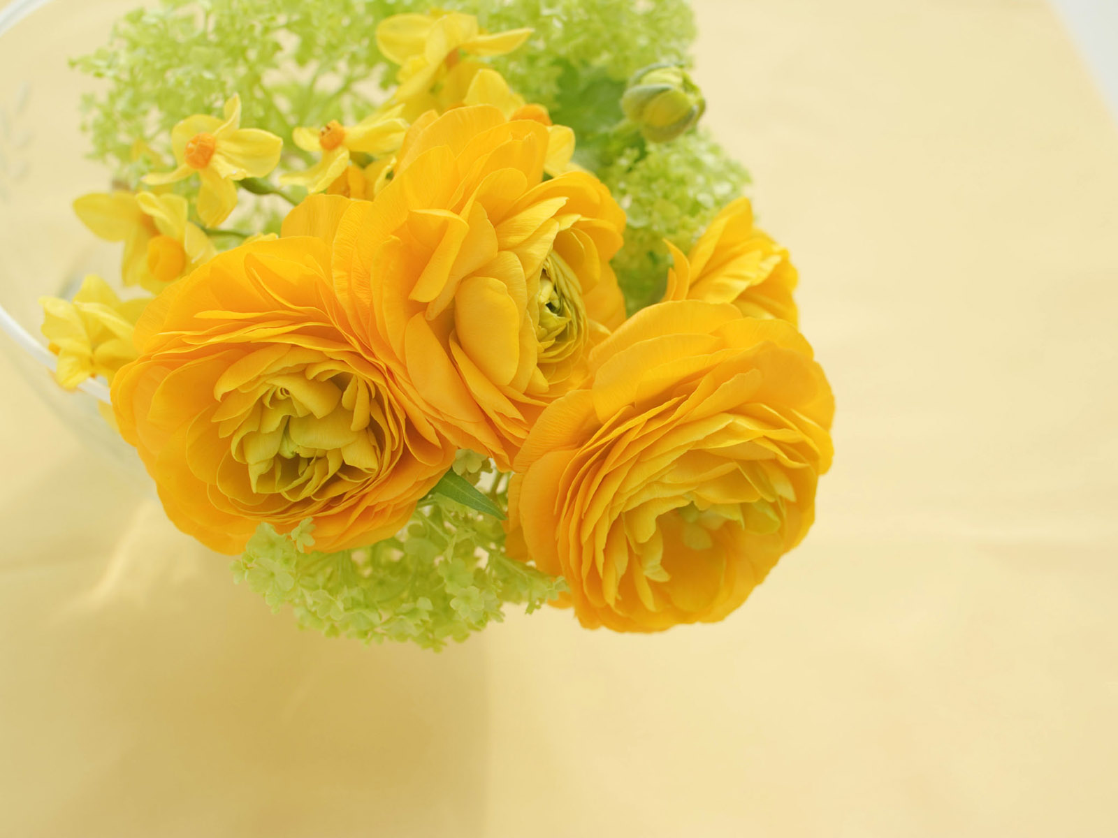 best rose wallpaper,yellow,flower,plant,cut flowers,bouquet