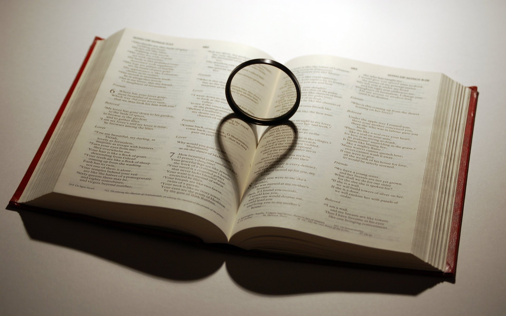 성경 배경 화면 hd,본문,심장,책,사랑,심장