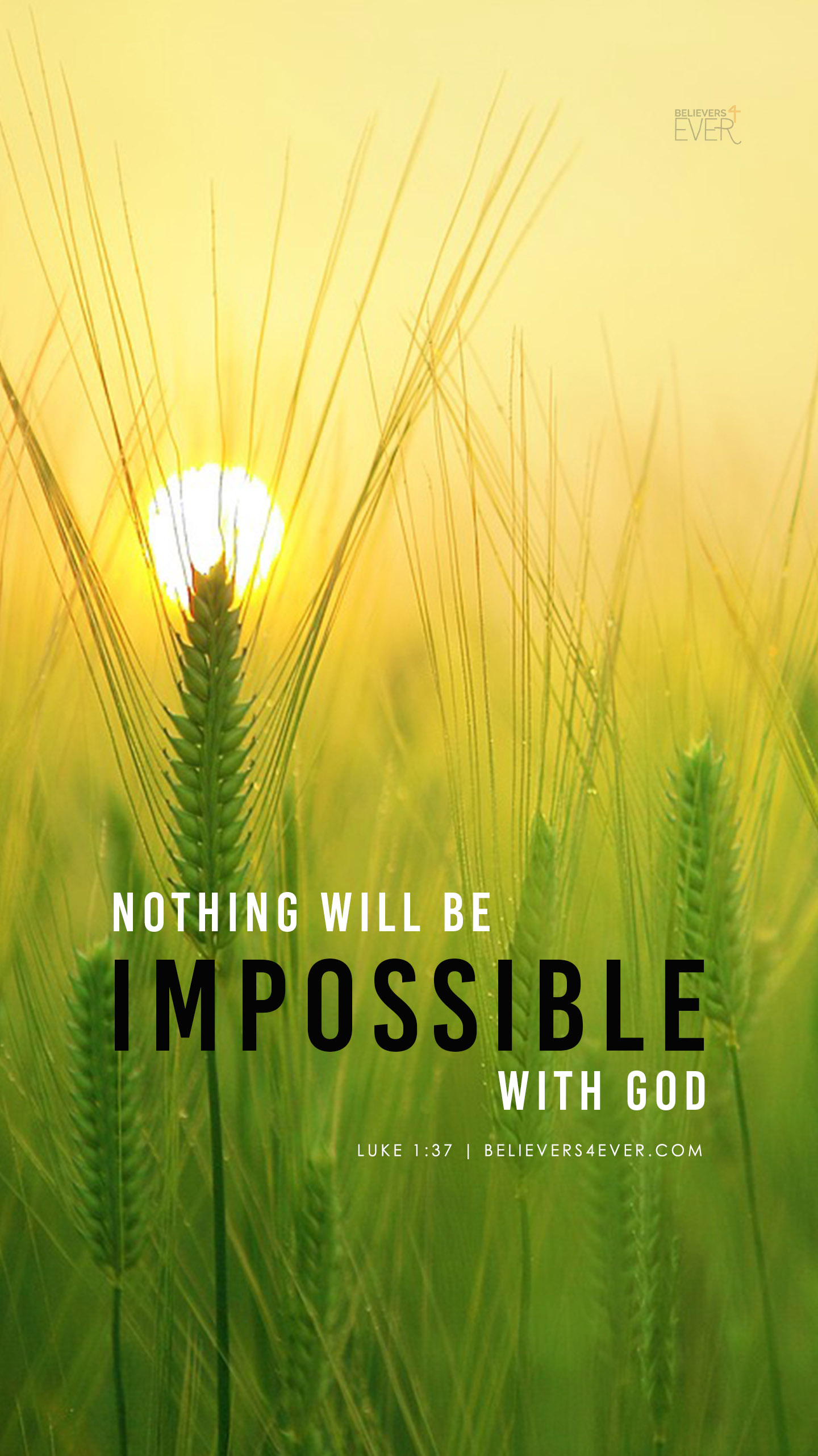 christian wallpapers for mobile,nature,green,barley,text,natural landscape