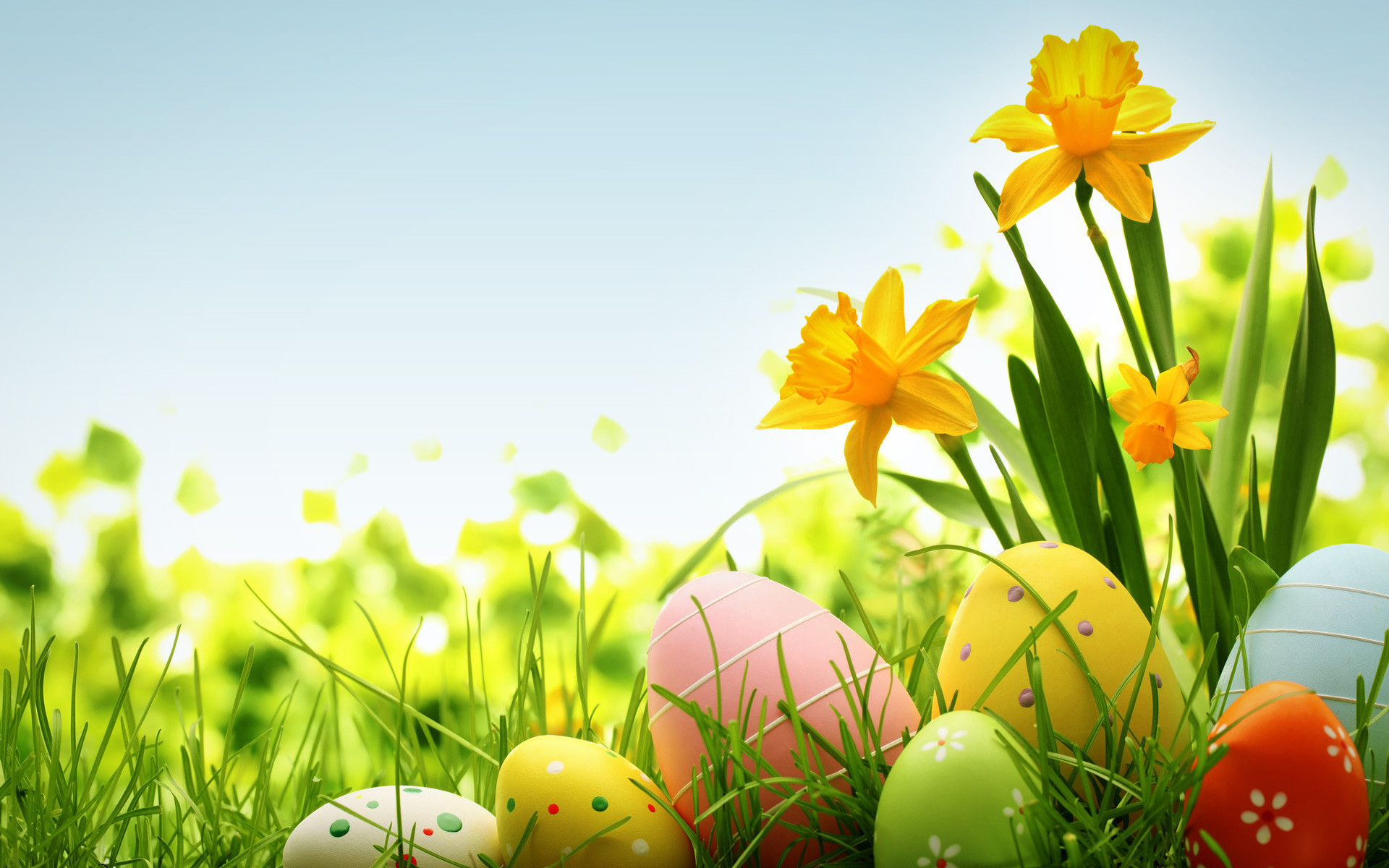 fondo de pantalla de pascua cristiana,huevo de pascua,pascua de resurrección,césped,primavera,amarillo
