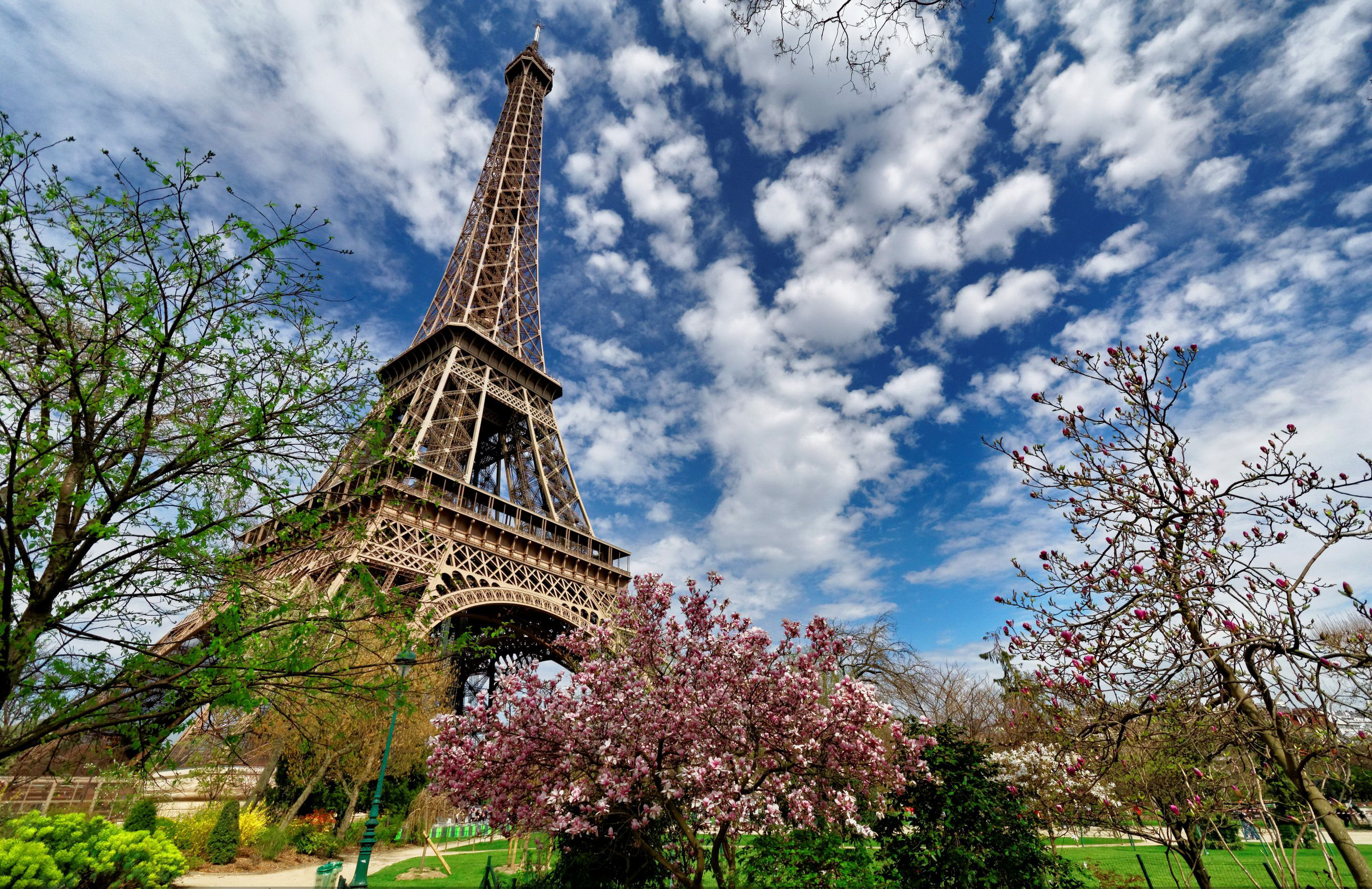 tower wallpaper,landmark,spring,sky,flower,plant