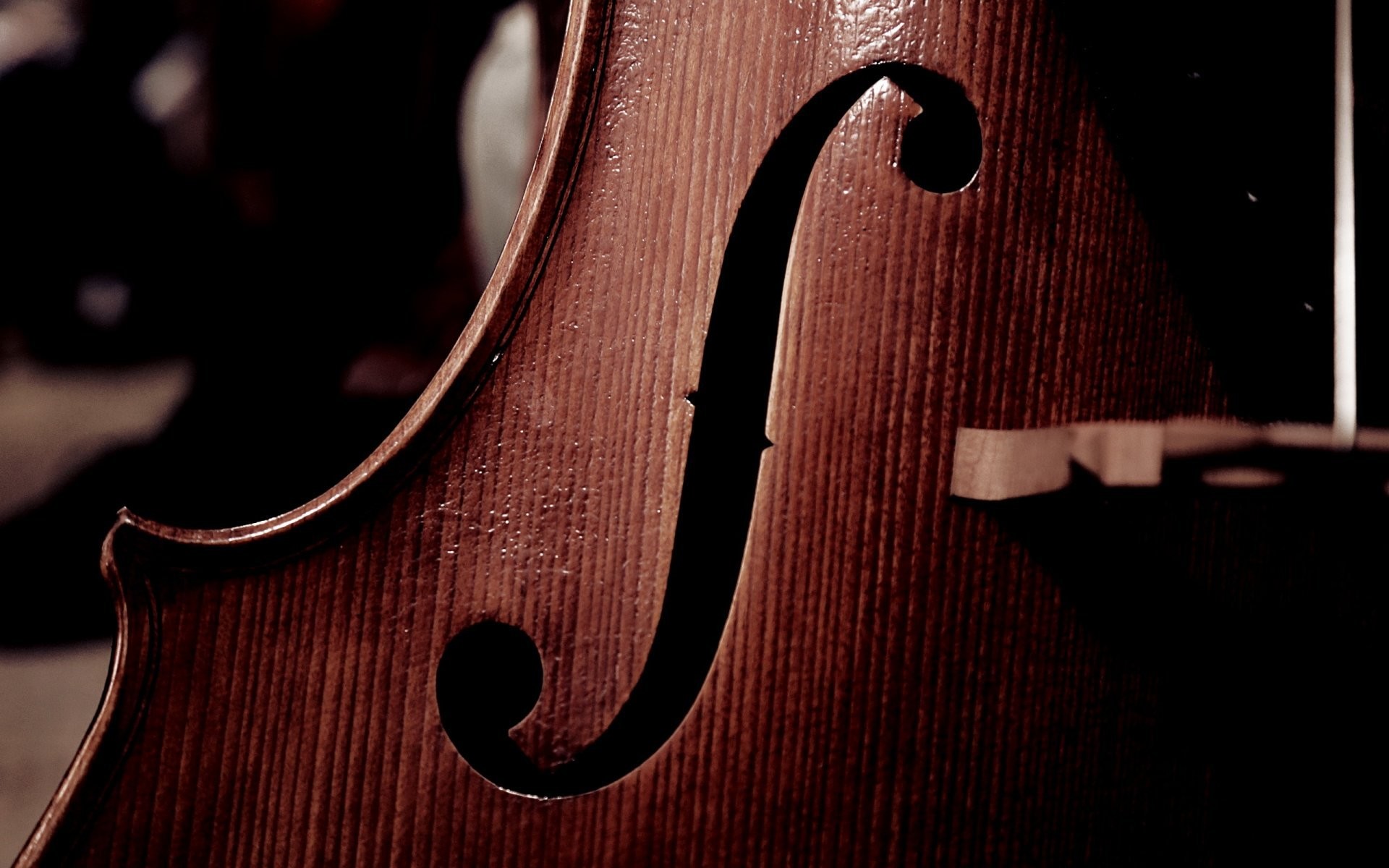 fondo de pantalla de cello,violín,instrumento musical,música,violonchelo,viola