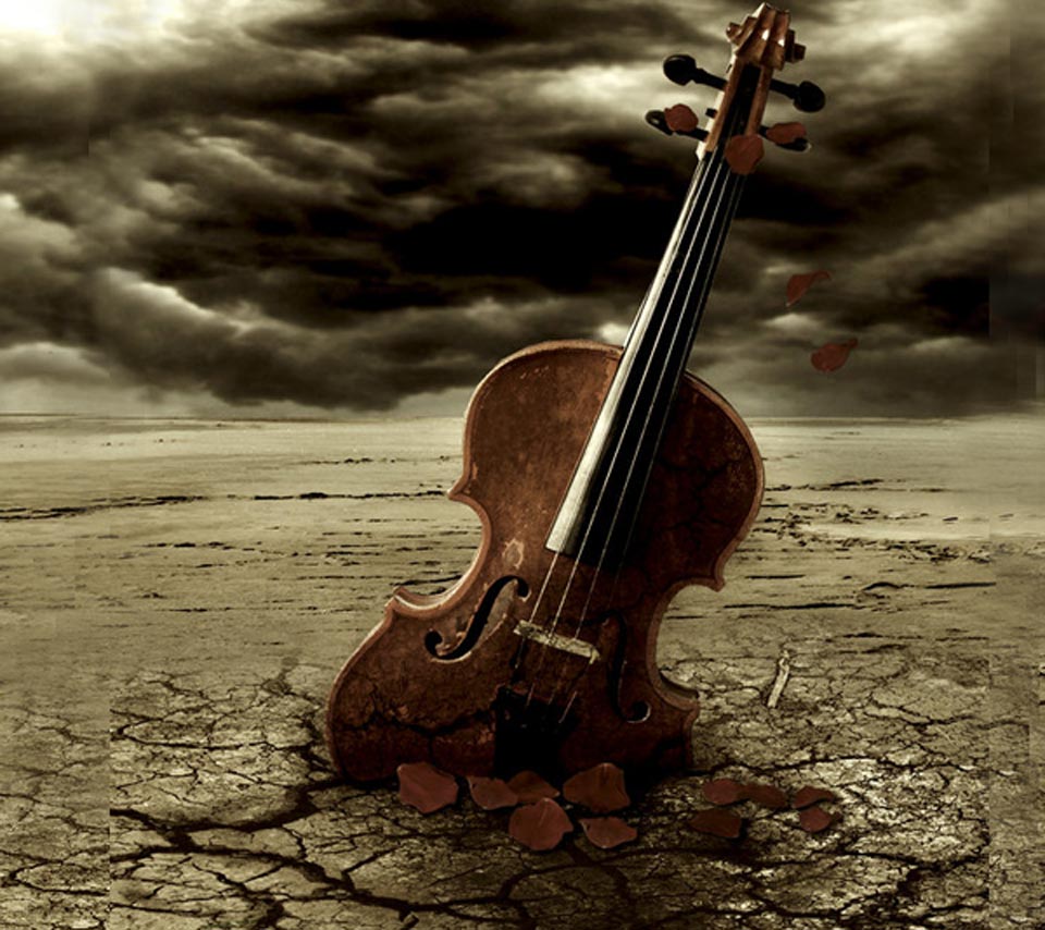 fondo de pantalla de cello,instrumento musical,violín,fotografía de naturaleza muerta,música