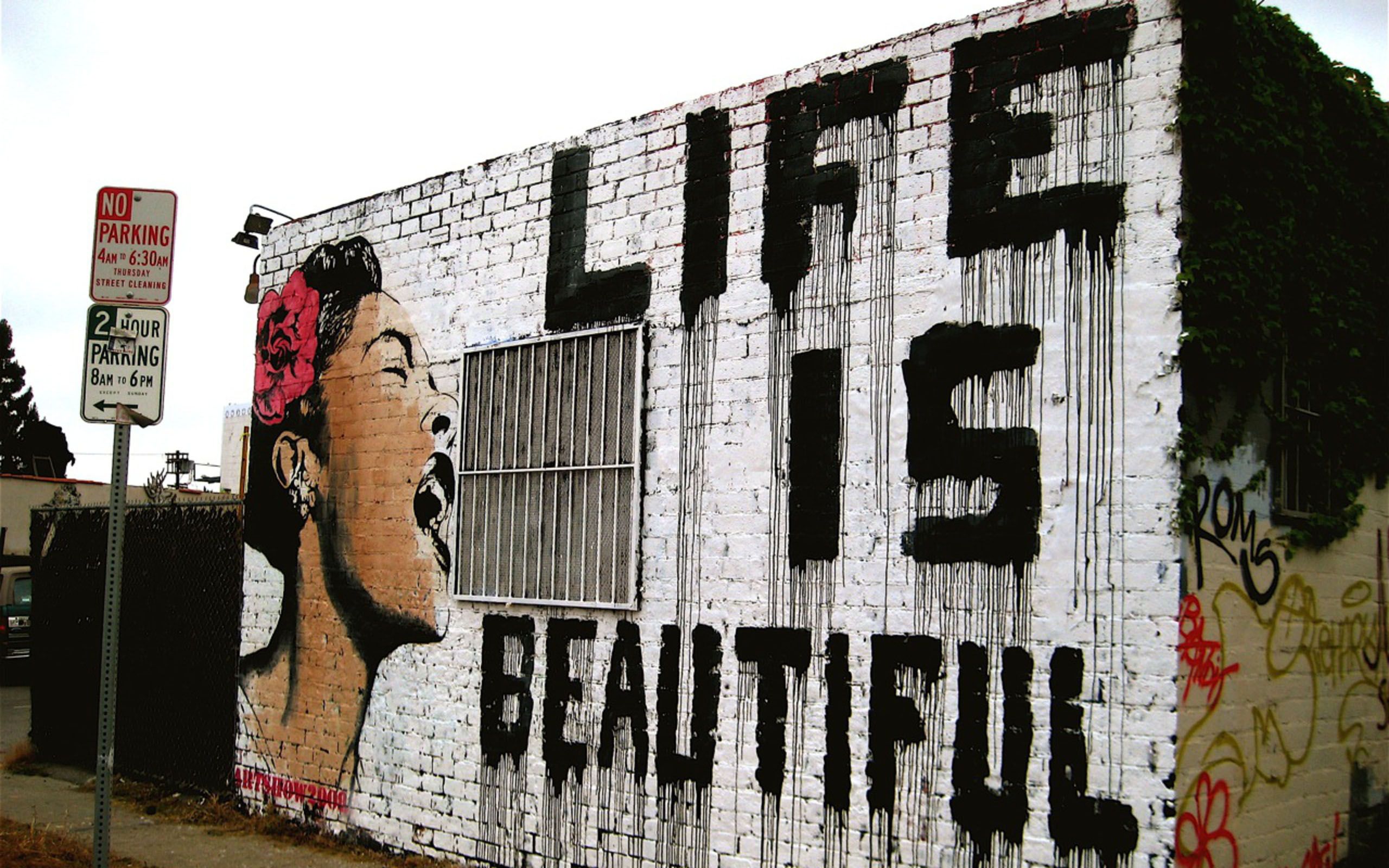 wallpaper with message about life,street art,wall,art,font,mural