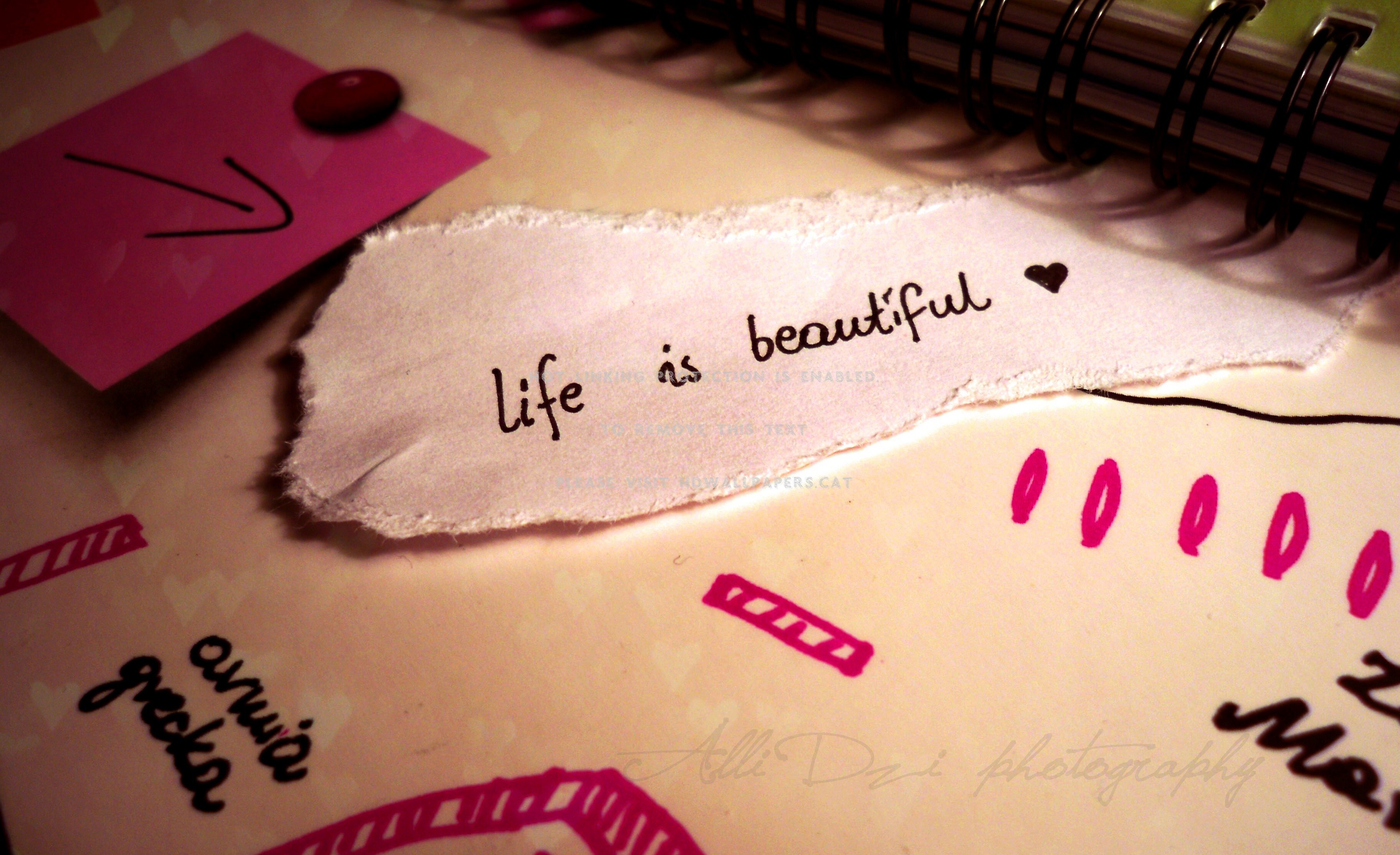 wallpaper with message about life,pink,text,font,material property,magenta