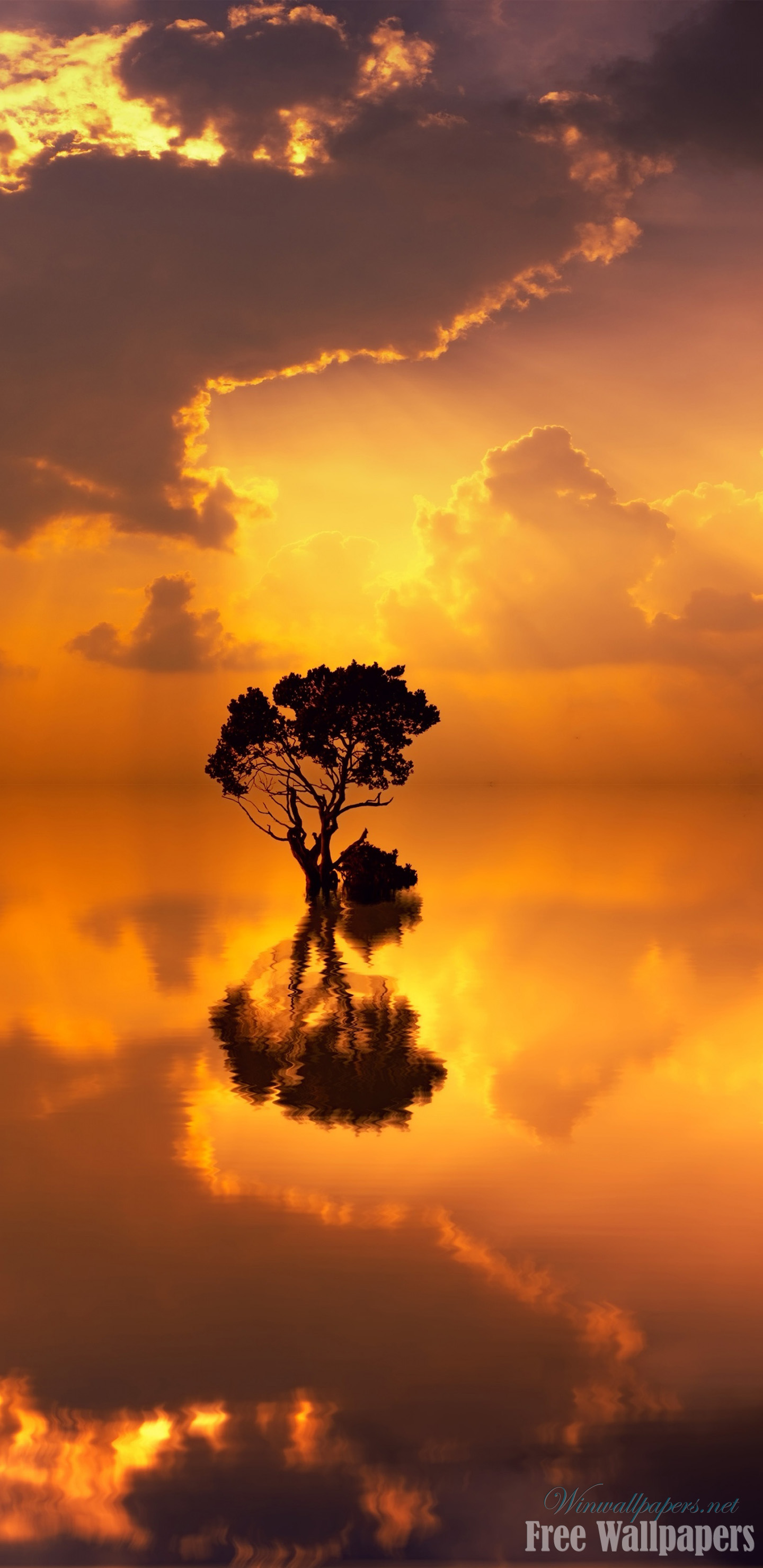 wallpapers it,sky,nature,natural landscape,sunset,cloud