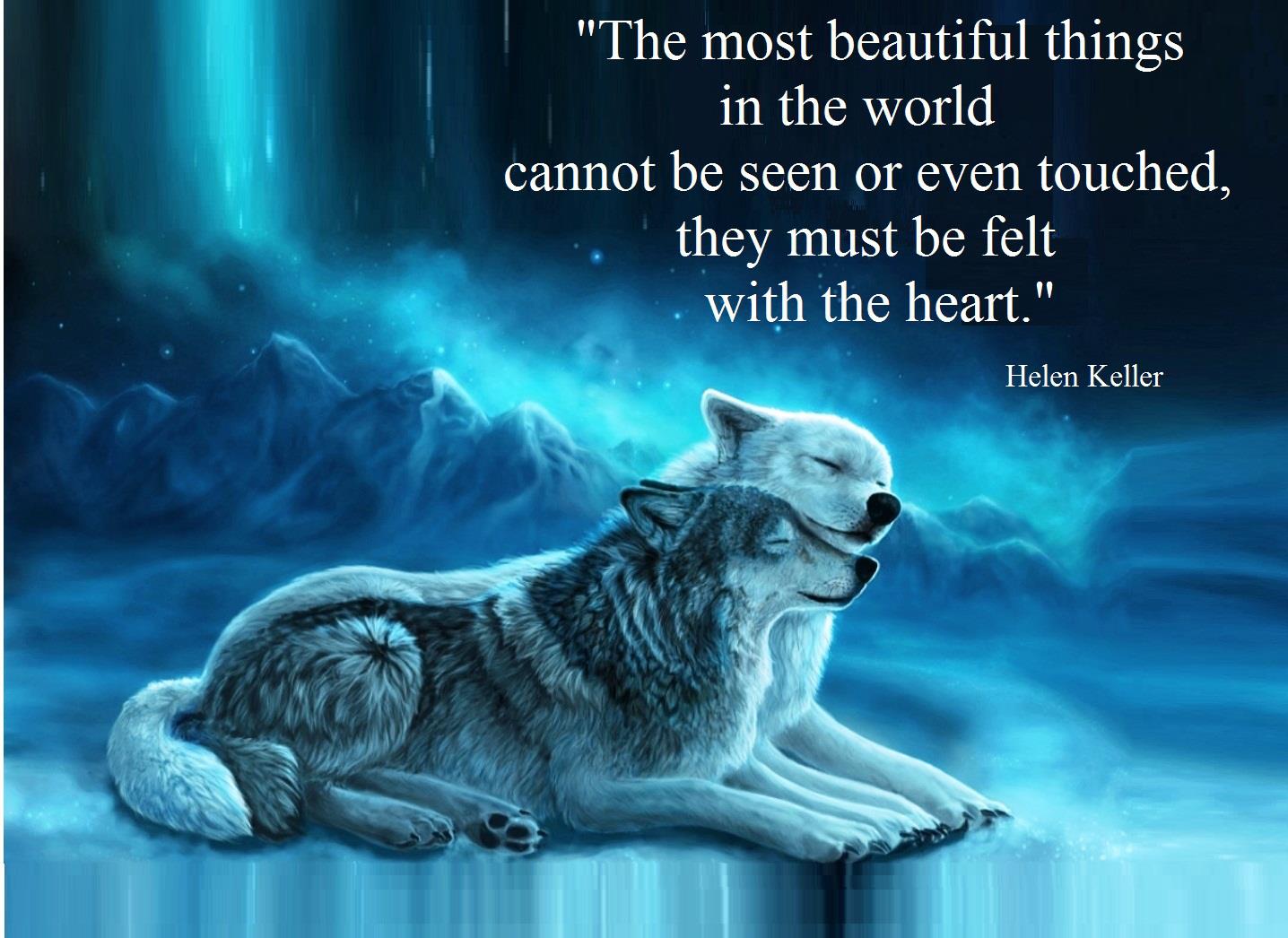 wallpaper with message about life,wolf,organism,canidae,font,adaptation