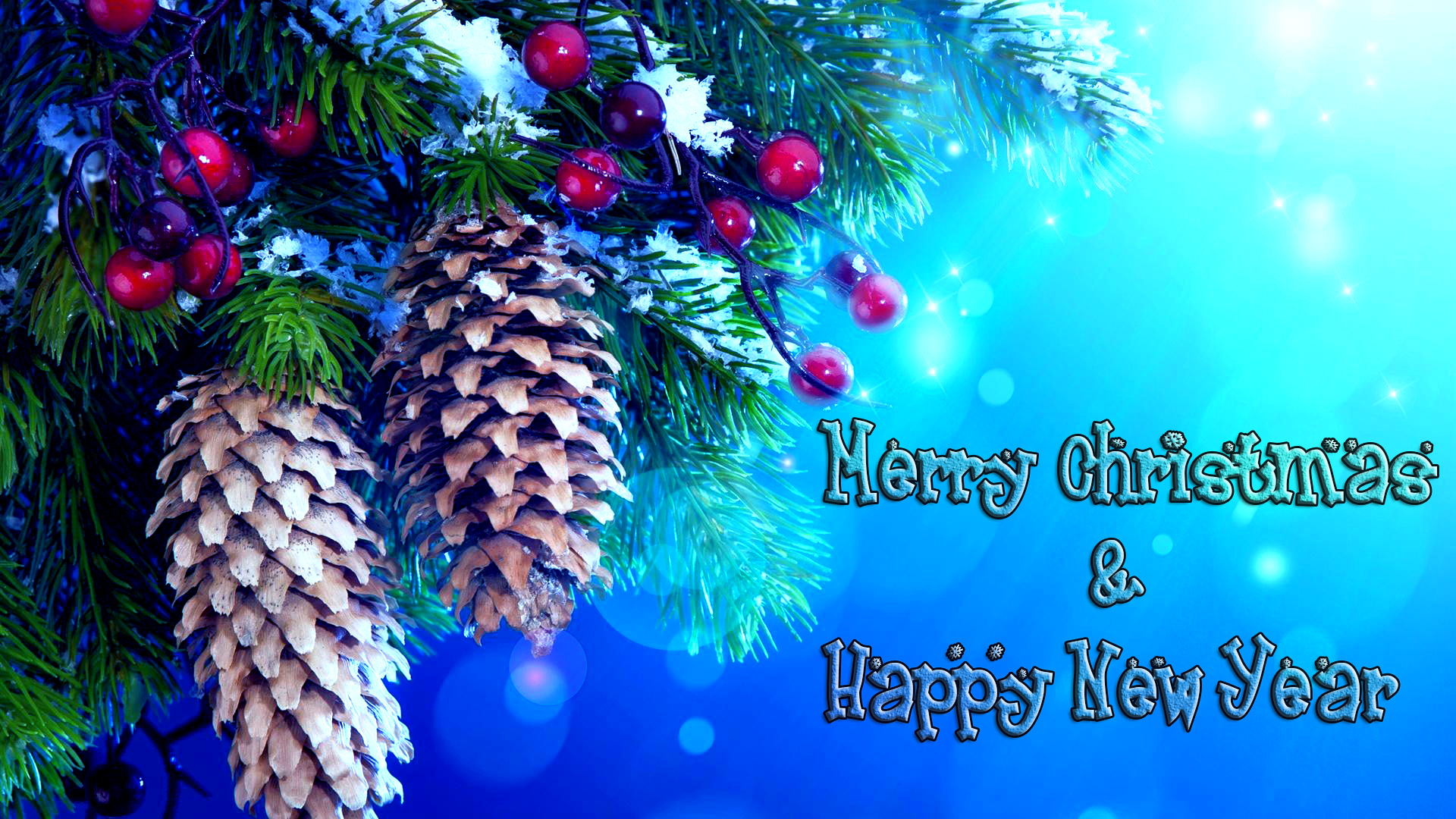 mejor fondo de pantalla del año,abeto de colorado,árbol,nochebuena,navidad,árbol de navidad