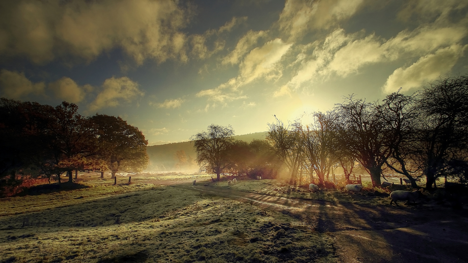 tapete fo,himmel,natürliche landschaft,natur,wolke,baum