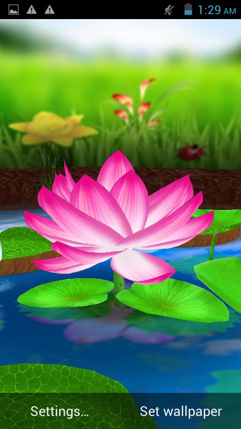 loto 3d live wallpaper,fragrante ninfea bianca,loto sacro,loto,natura,pianta acquatica