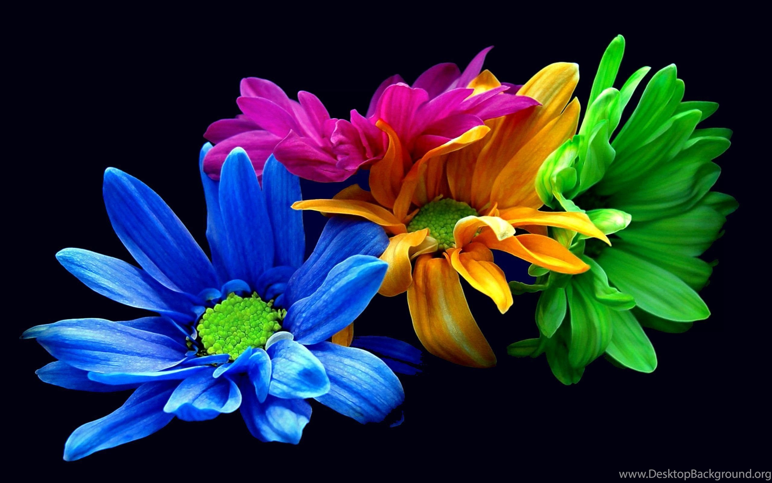 3dフラワータッチの壁紙,花,花弁,青い,工場,開花植物
