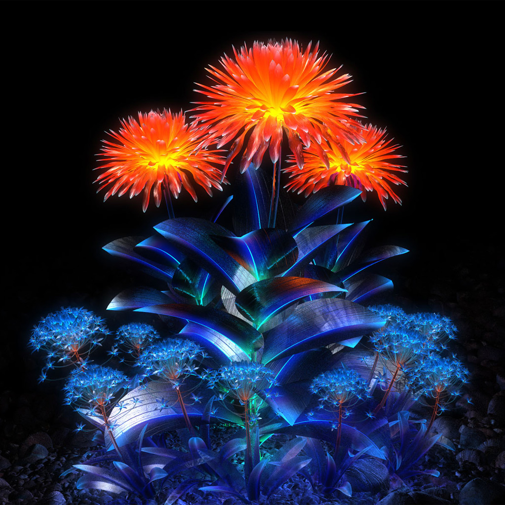 3d flowers touch wallpaper,fireworks,new years day,fête,event,midnight