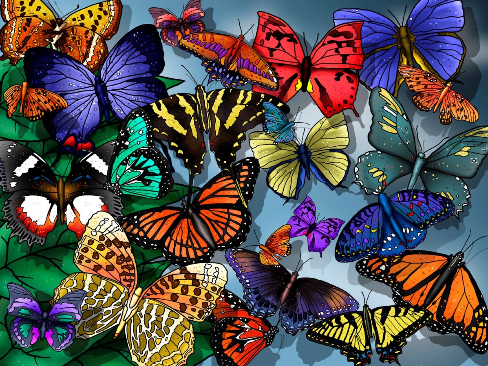 3d 꽃 터치 벽지,나방과 나비,나비,신시아 아속,곤충,브러시 발된 나비