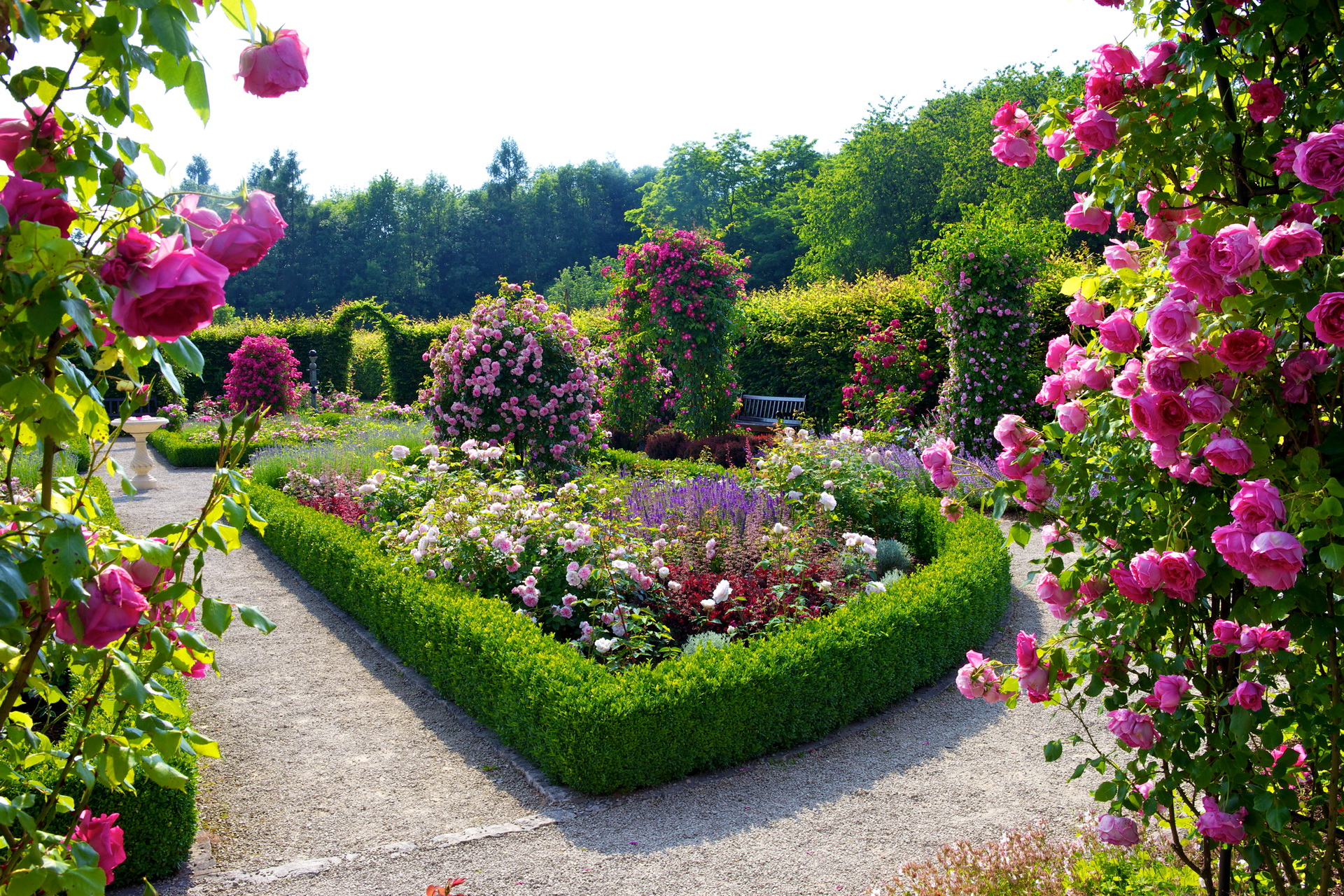 beautiful garden wallpaper,flower,garden,plant,botanical garden,shrub