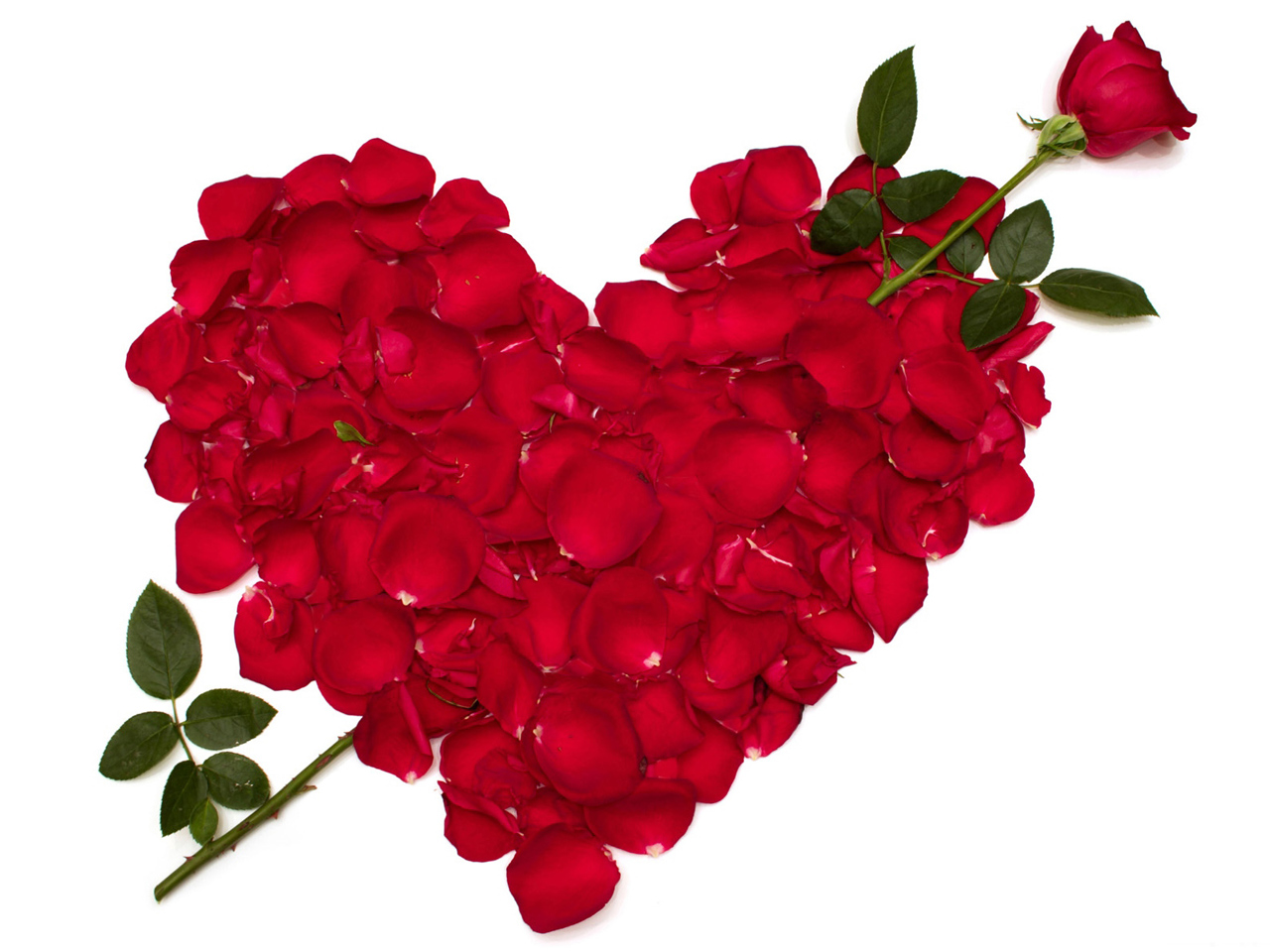 꽃잎 벽지,빨간,꽃잎,꽃,심장,발렌타인 데이