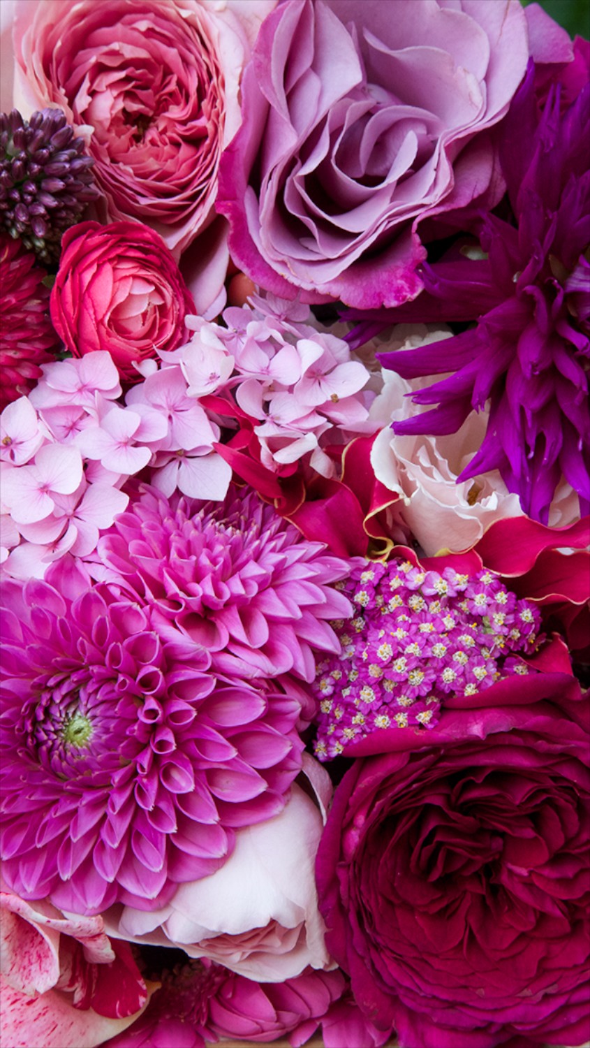 cute floral wallpaper,flower,pink,petal,cut flowers,bouquet