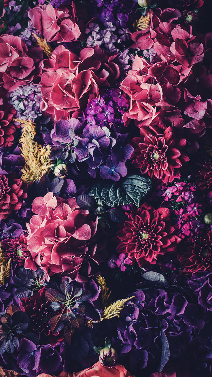 かわいい花の壁紙,紫の,バイオレット,花,ピンク,工場
