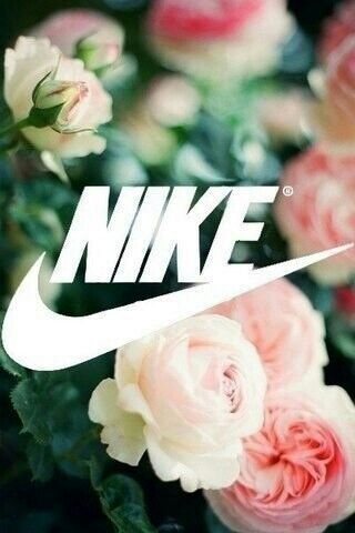 nike floral wallpaper,pink,garden roses,flower,rose,petal