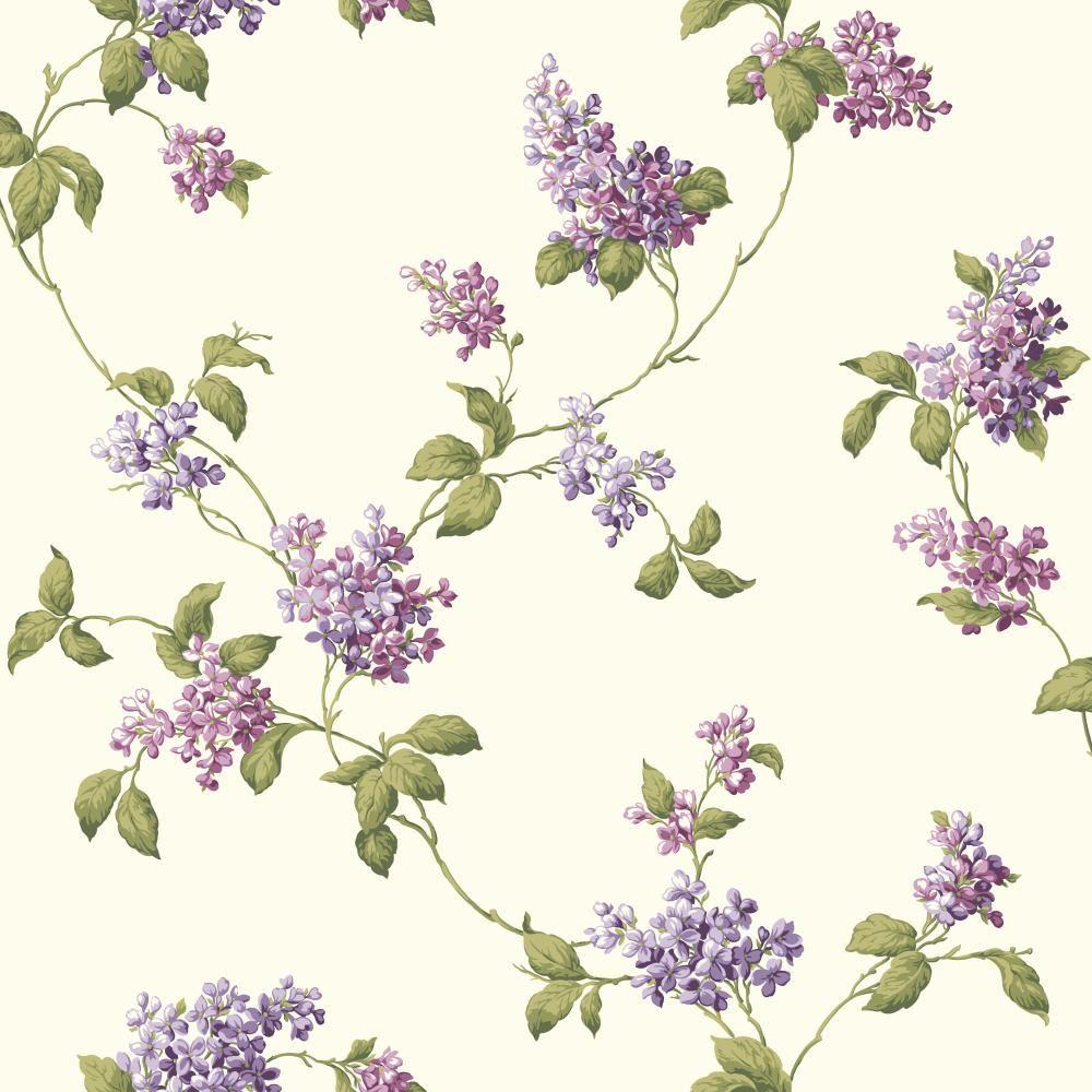 papier peint à fleurs lilas,fleur,lilas,lavande,plante,violet